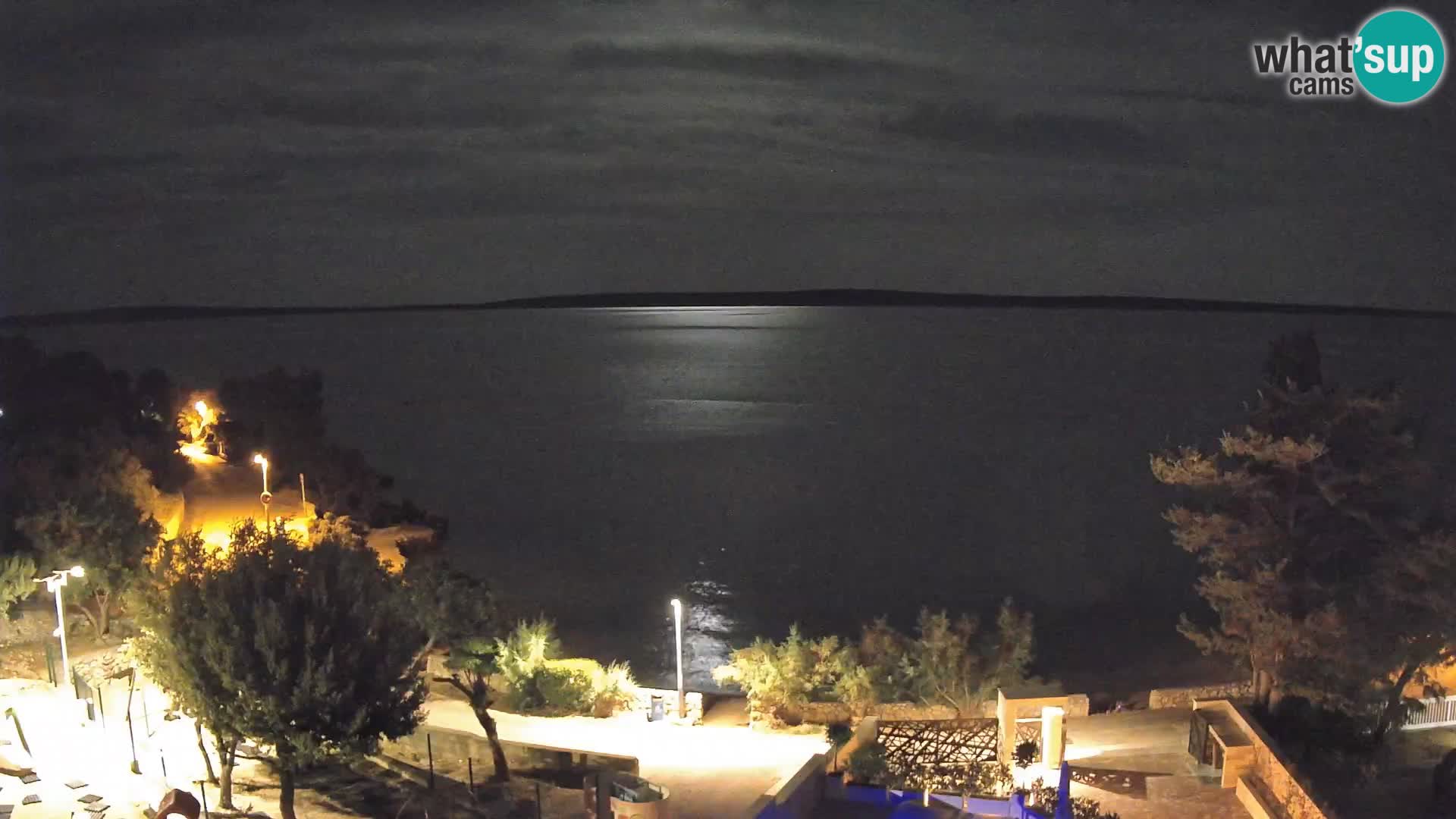 Webcam Plaža Male Mandre – Live View from Pag Island