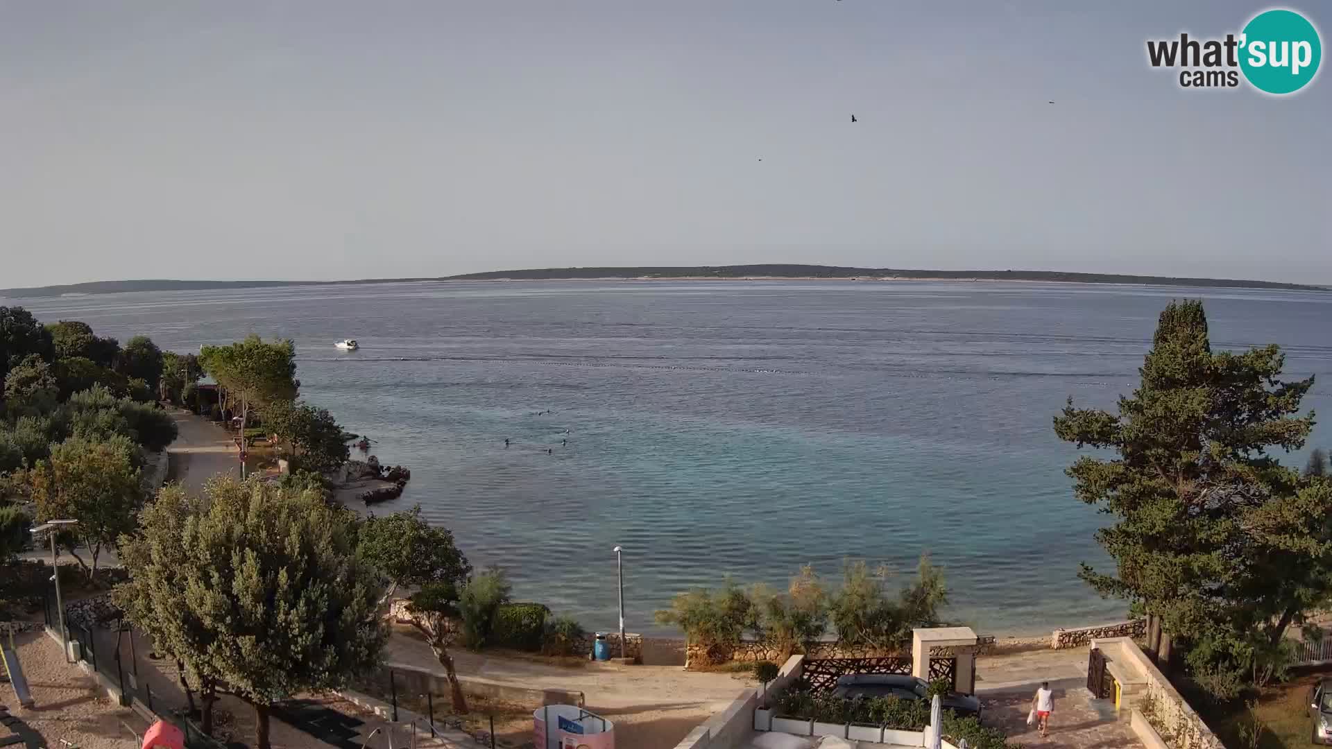 Webcam Plaža Male Mandre – Diretta dalla spiaggia sull’isola di Pag