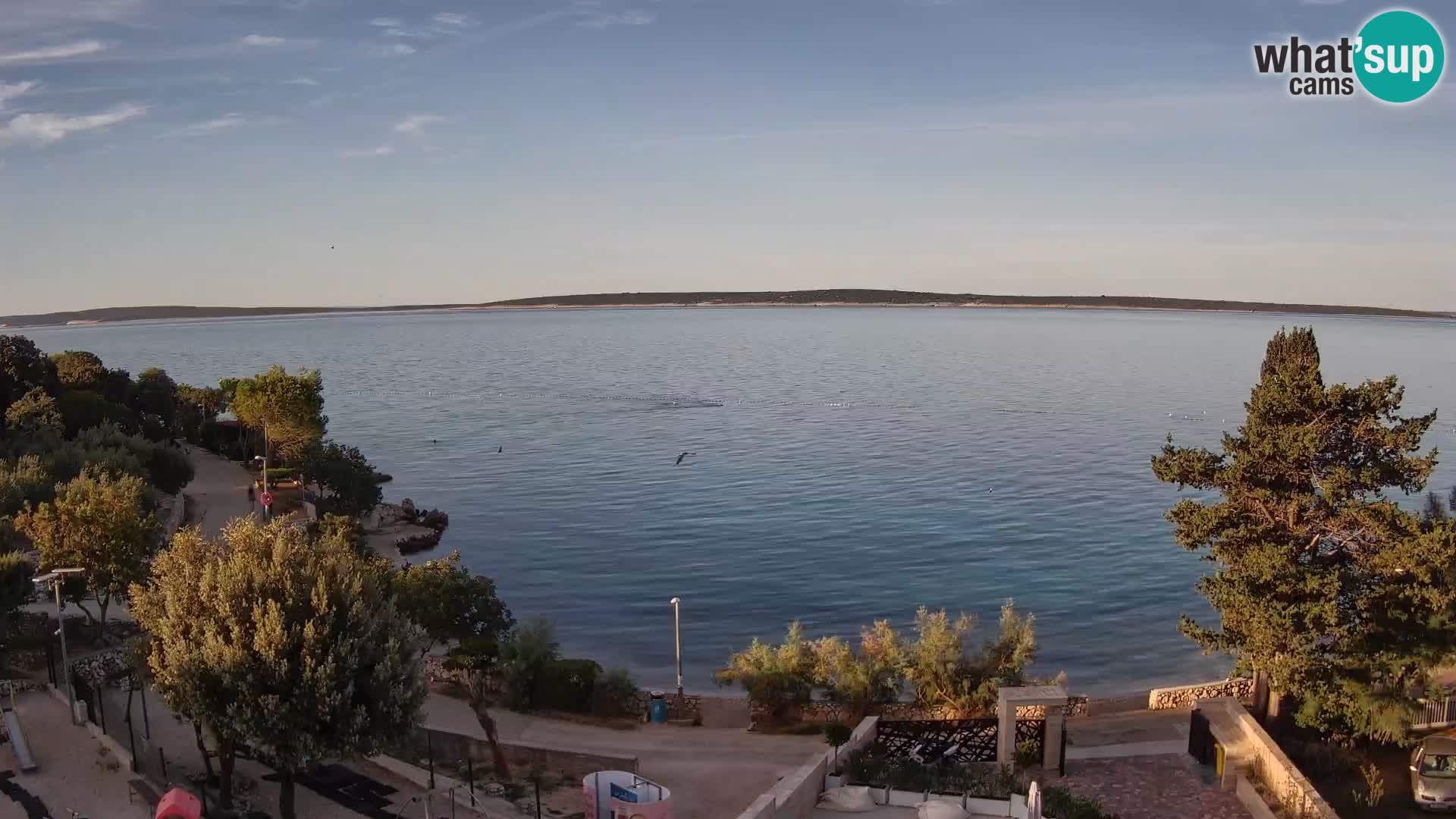 Spletna kamera Plaža Male Mandre – Pogled v živo z otoka Pag