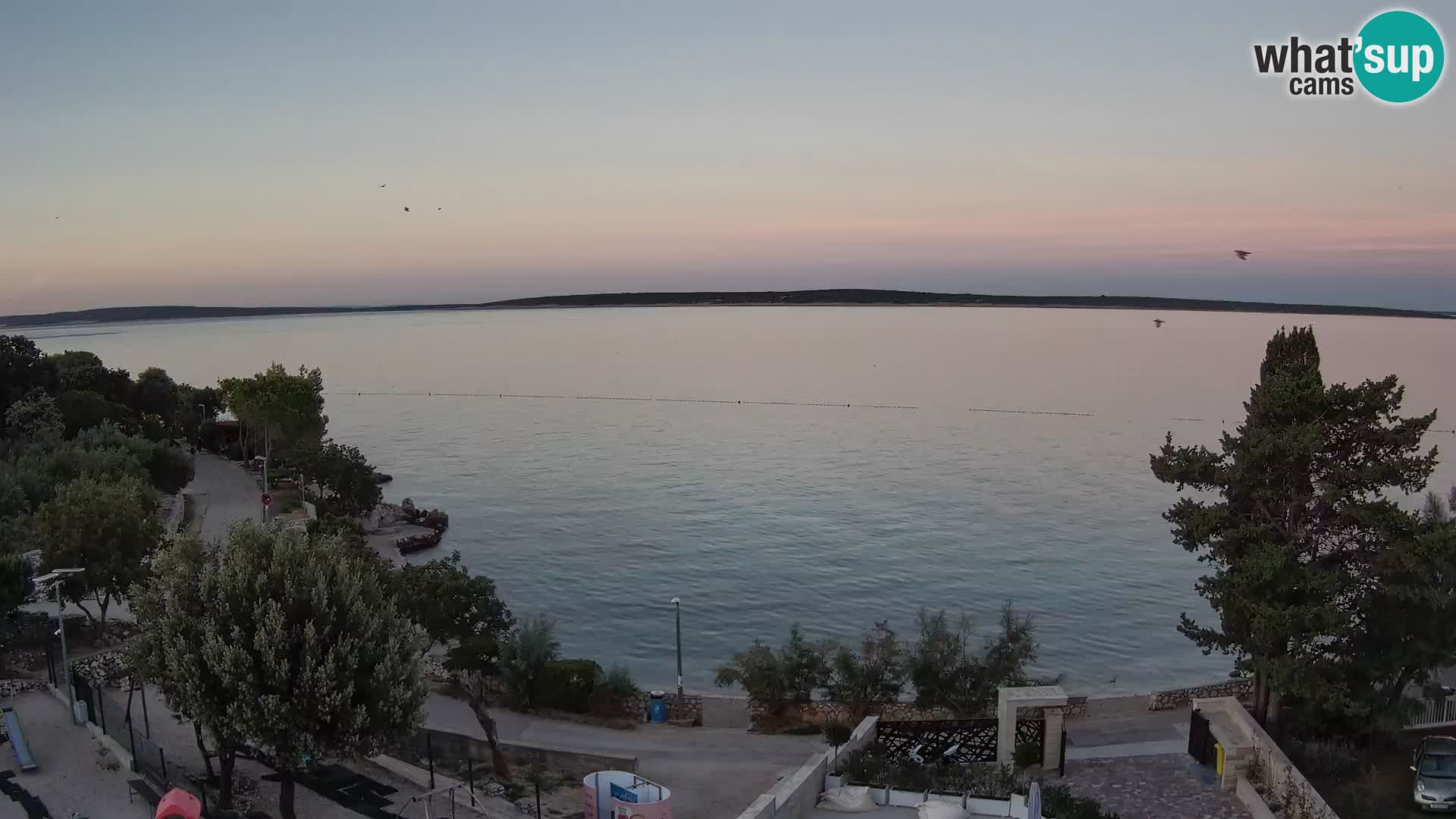 Webcam Plaža Male Mandre – Live View from Pag Island
