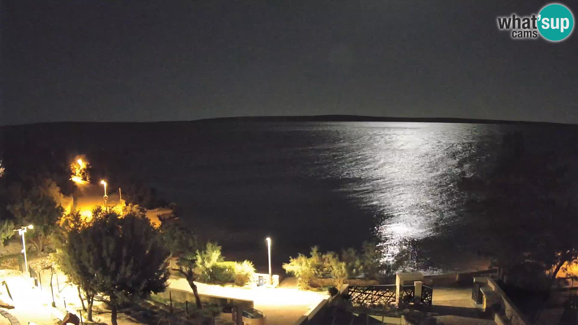 Webcam Playa Male Mandre en directo – Isla de Pag