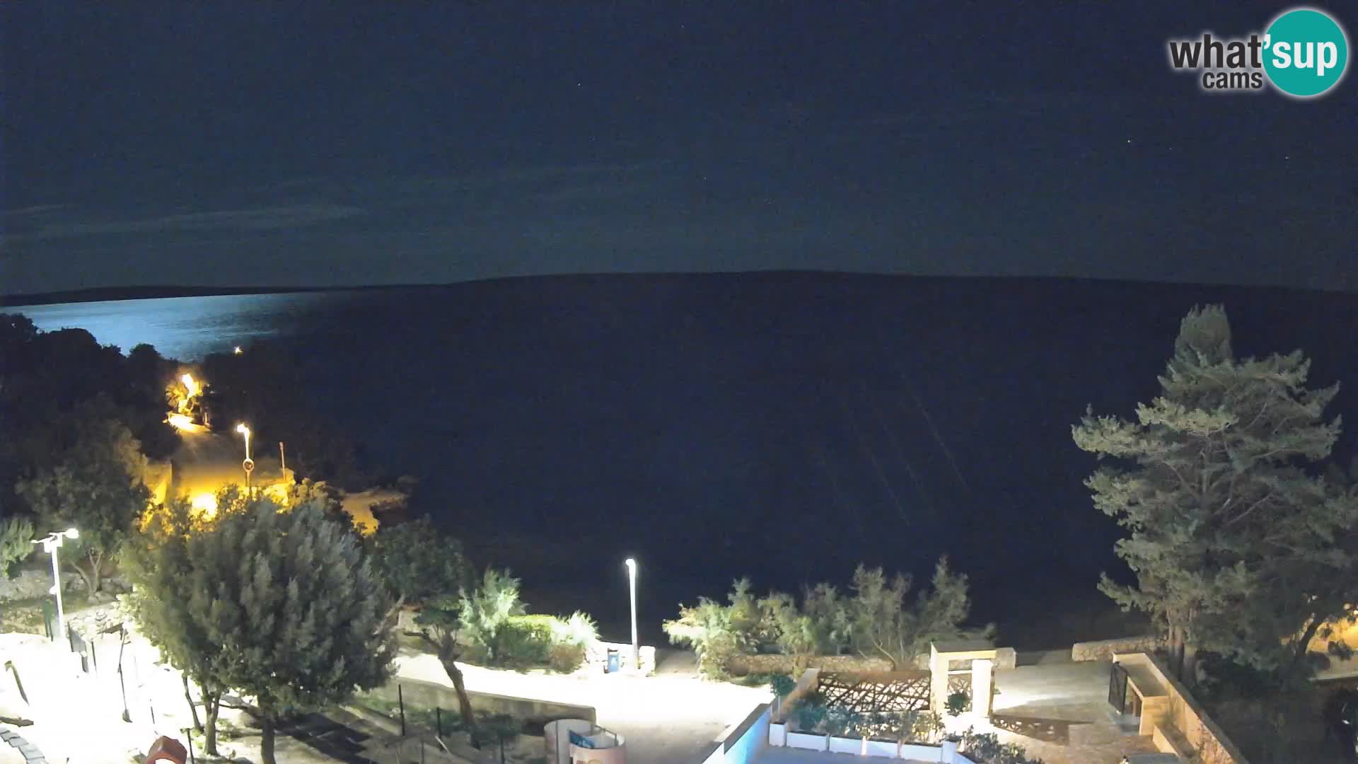 Webcam Plage Male Mandre – Vue en direct depuis l’île de Pag