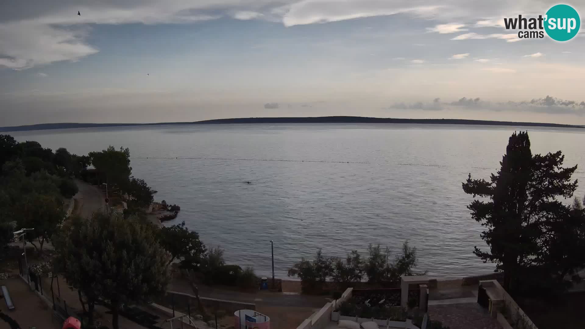 Webcam Plaža Male Mandre – Live View from Pag Island