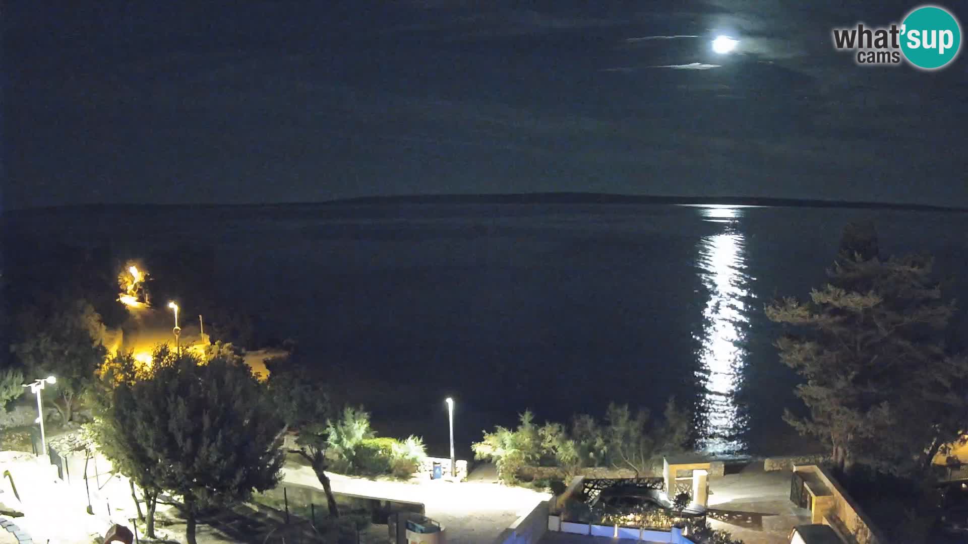 Webcam Plaža Male Mandre – Live View from Pag Island