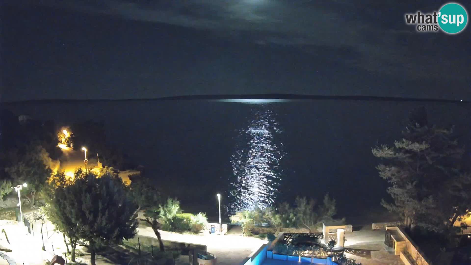 Webcam Playa Male Mandre en directo – Isla de Pag