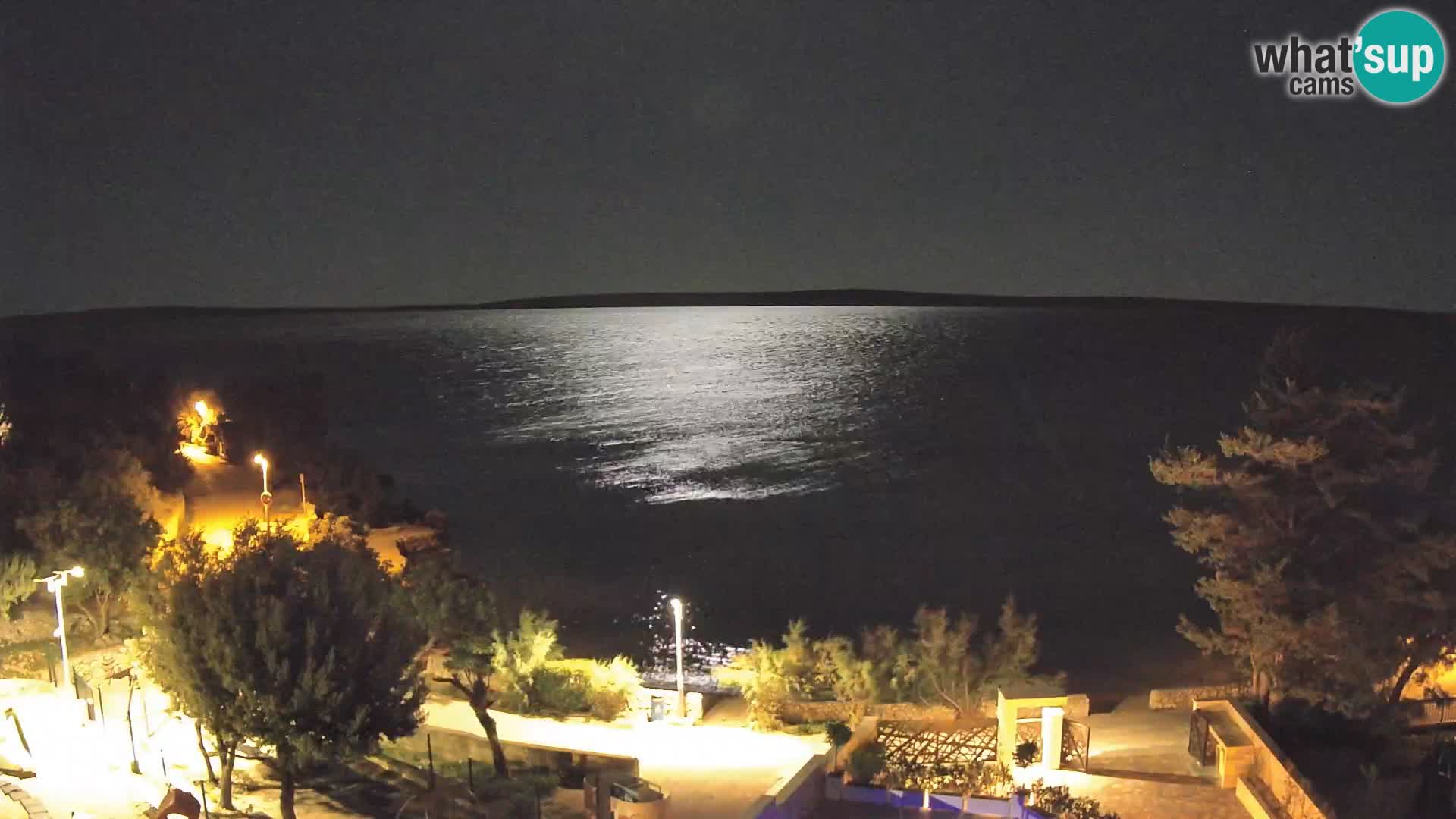 Webcam Strand Male Mandre – Liveblick von der Insel Pag