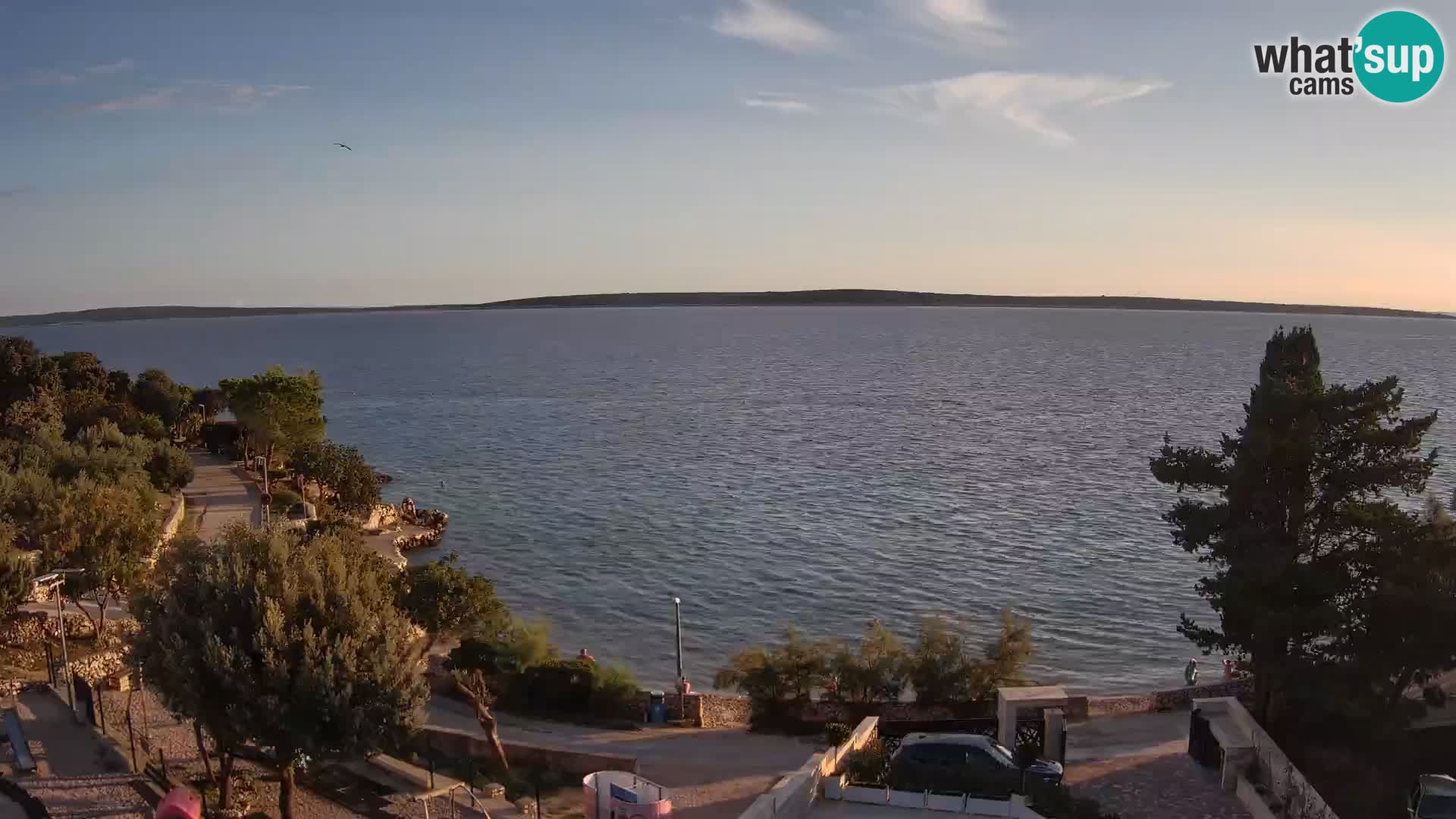 Webcam Playa Male Mandre en directo – Isla de Pag