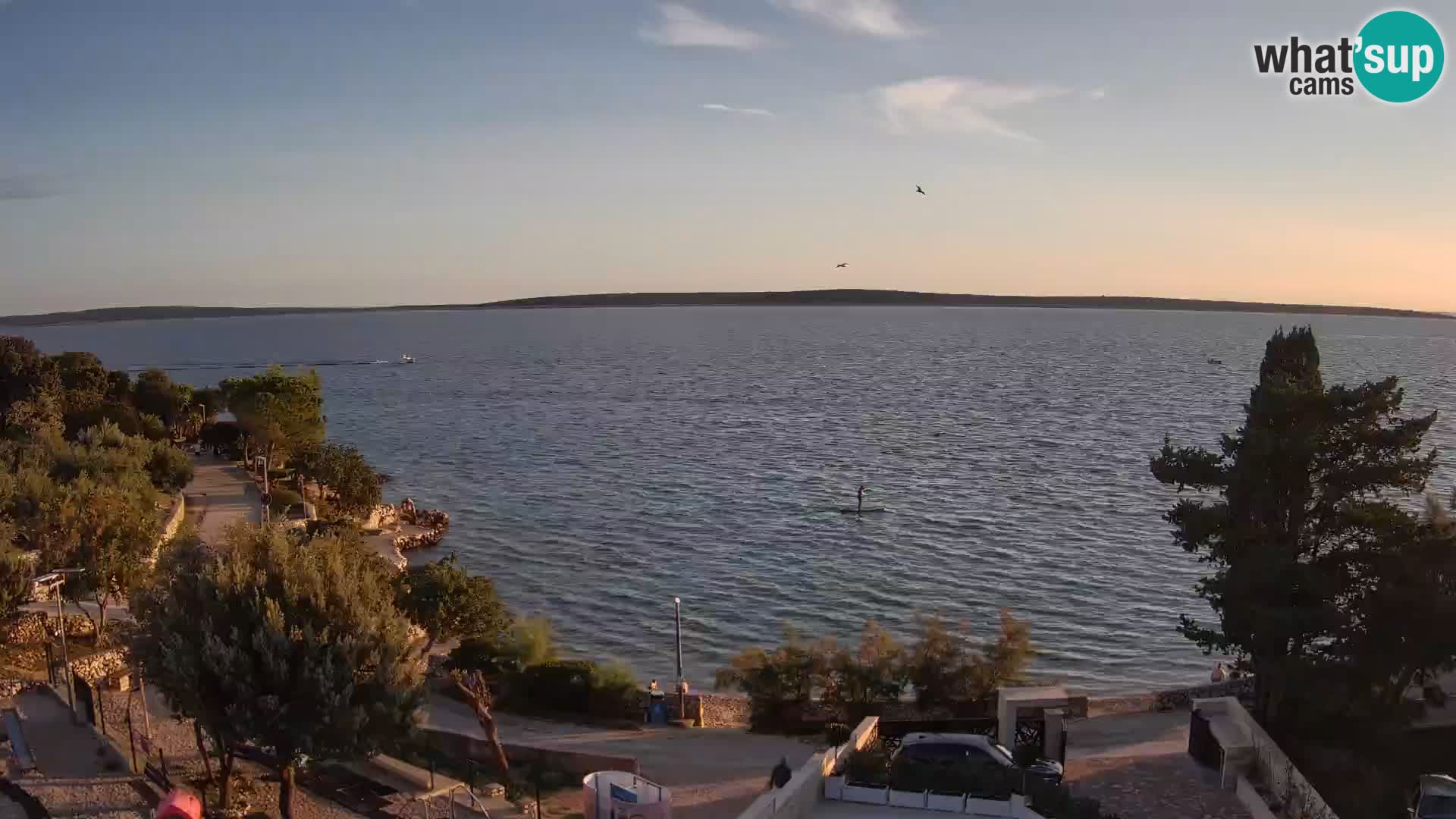 Webcam Plaža Male Mandre – Live View from Pag Island
