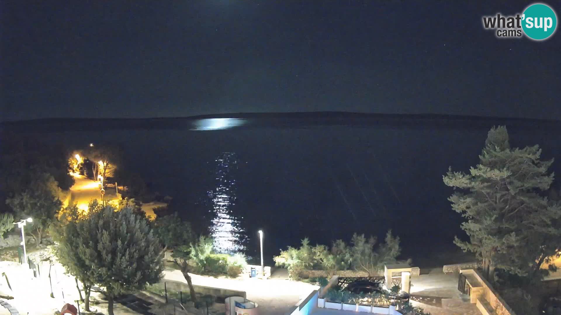 Webcam Plaža Male Mandre – Live View from Pag Island