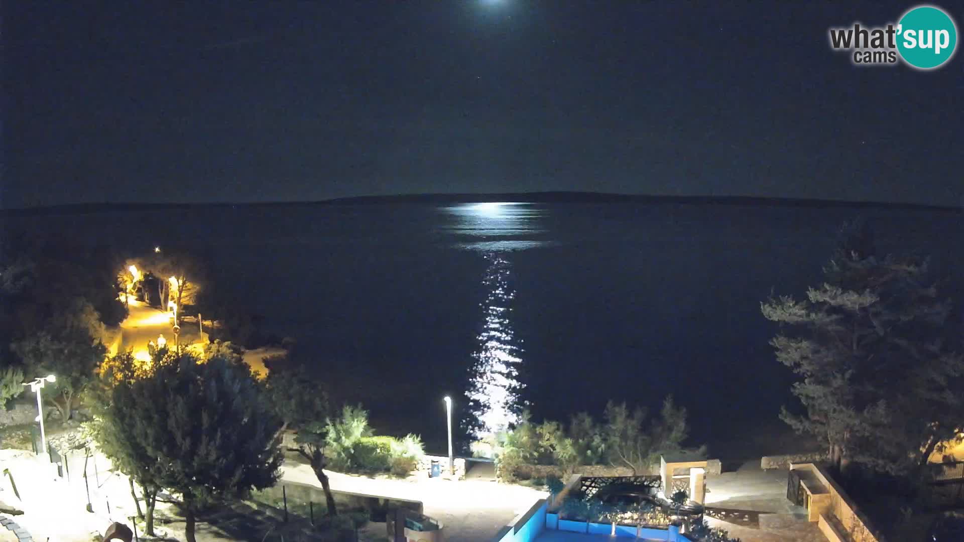 Webcam Playa Male Mandre en directo – Isla de Pag