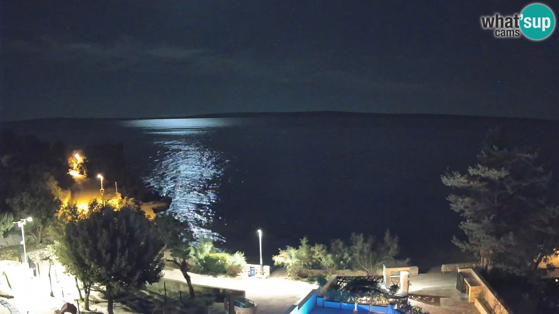Webcam Playa Male Mandre en directo – Isla de Pag
