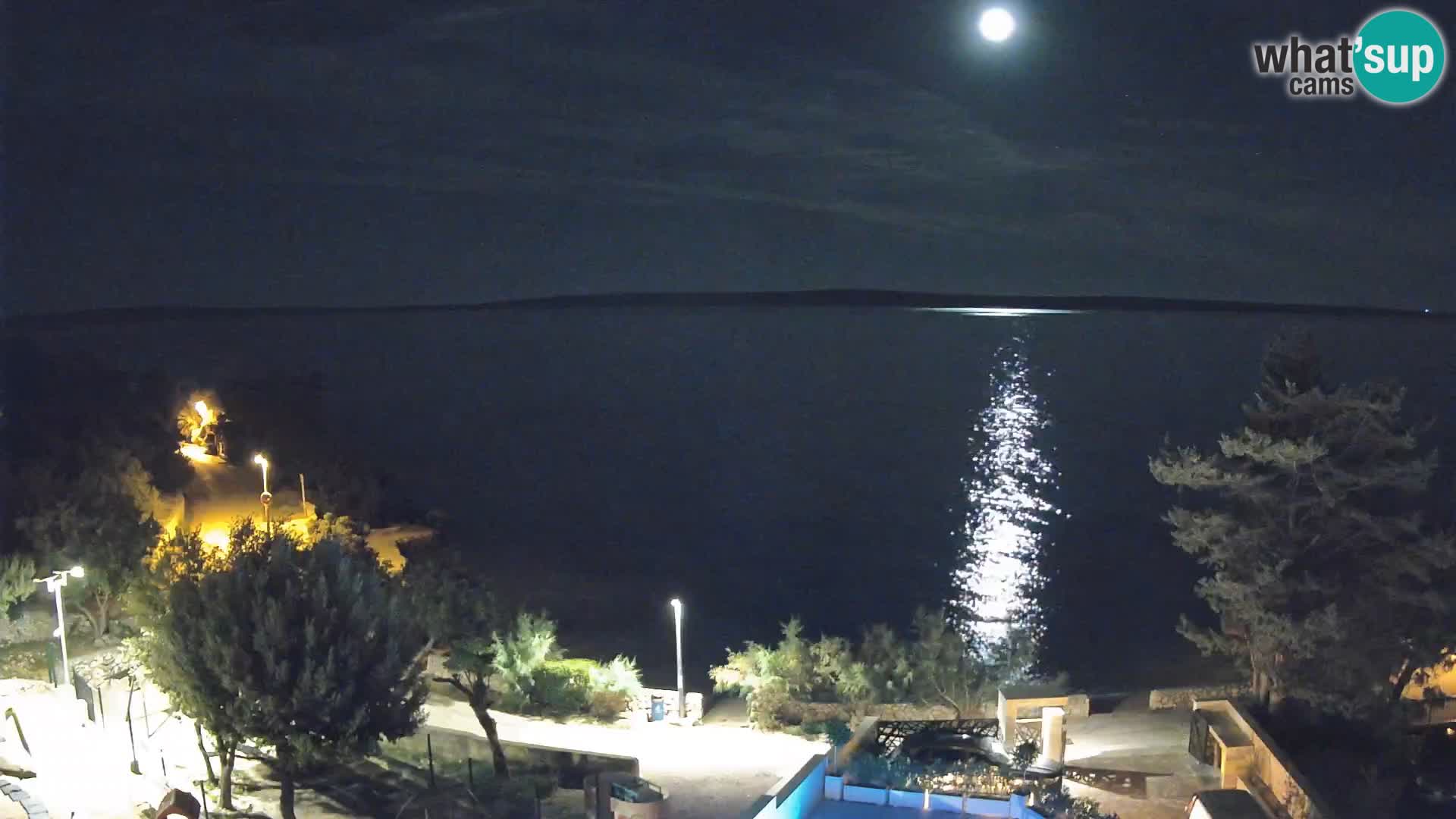 Webcam Strand Male Mandre – Liveblick von der Insel Pag