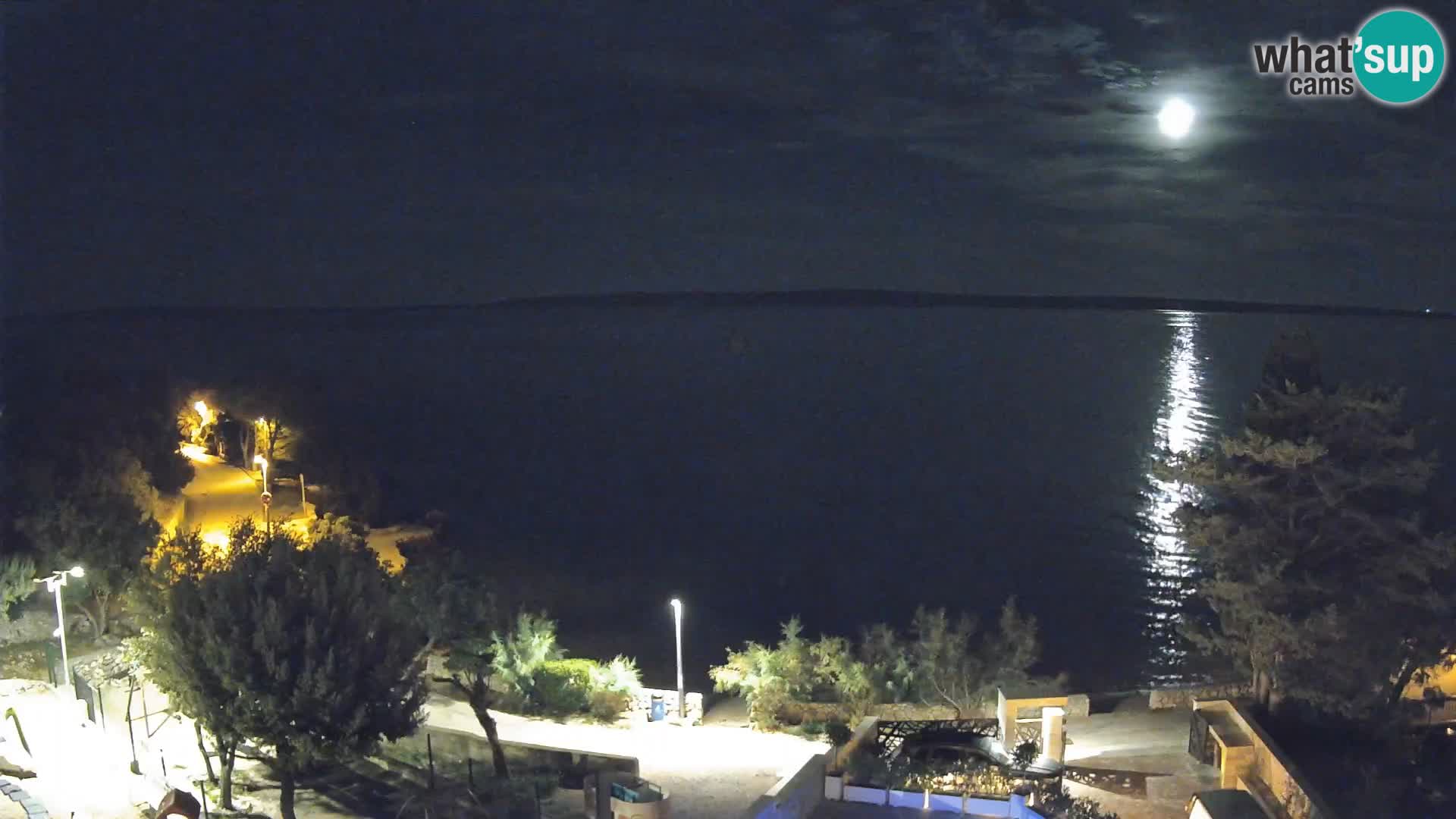 Webcam Plaža Male Mandre – Live View from Pag Island