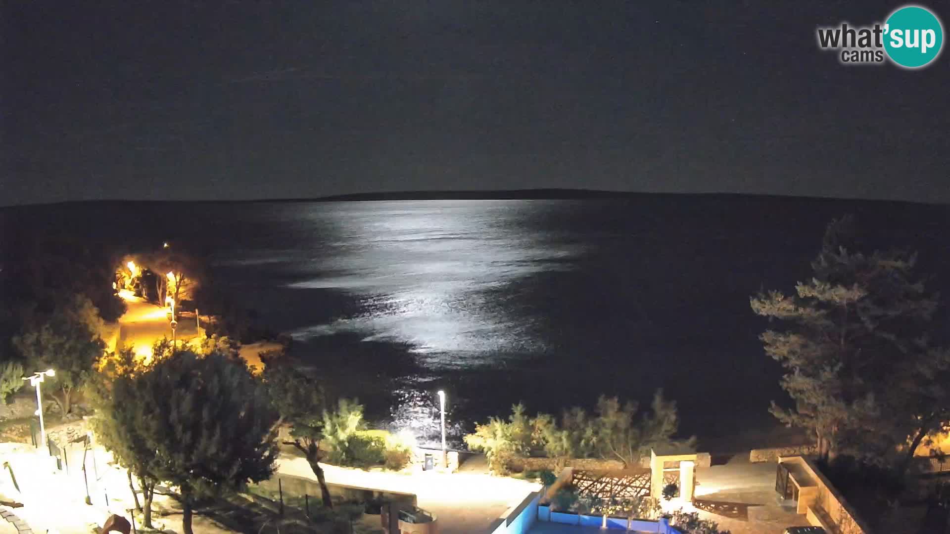 Webcam Playa Male Mandre en directo – Isla de Pag