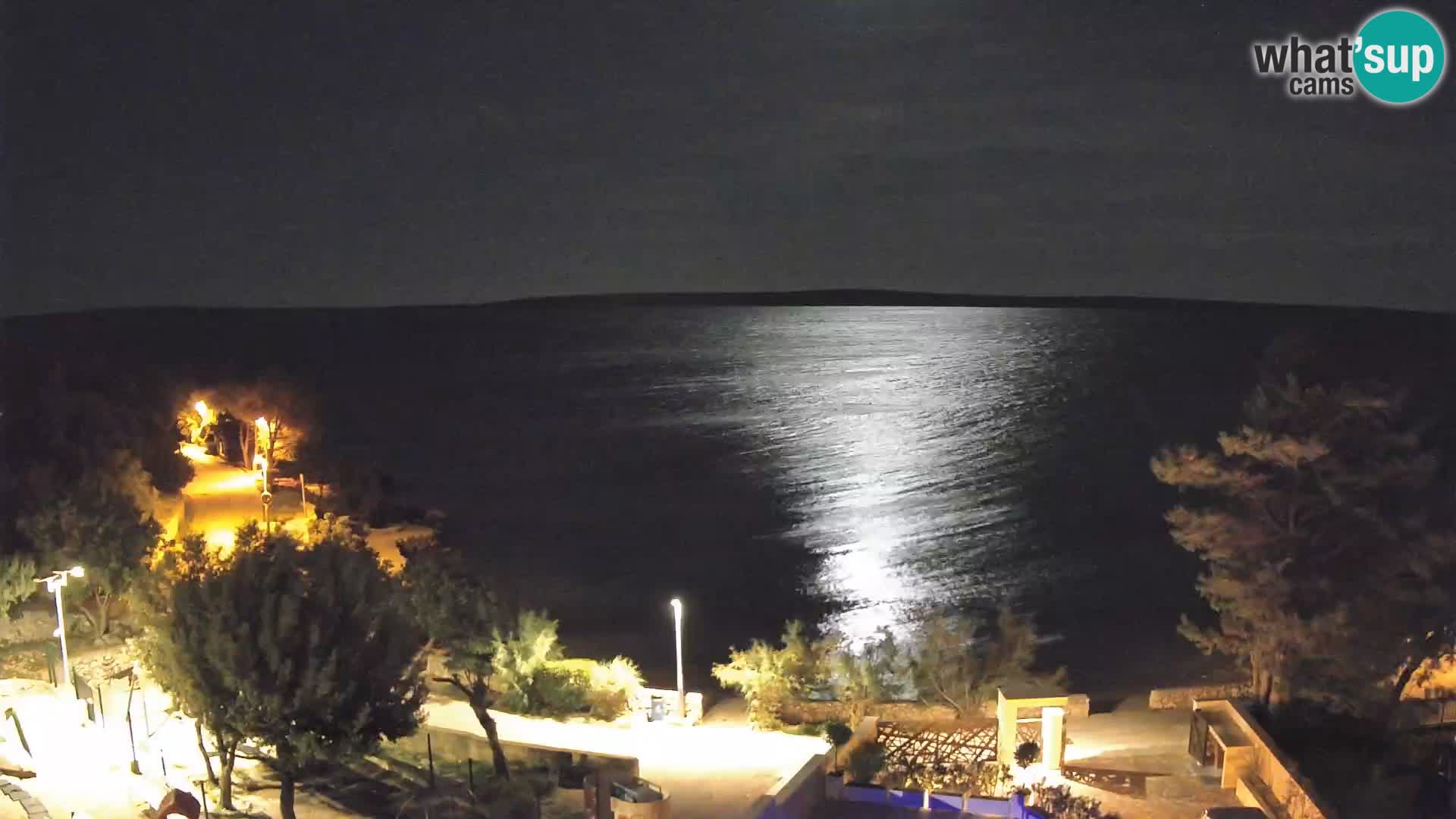 Webcam Plage Male Mandre – Vue en direct depuis l’île de Pag