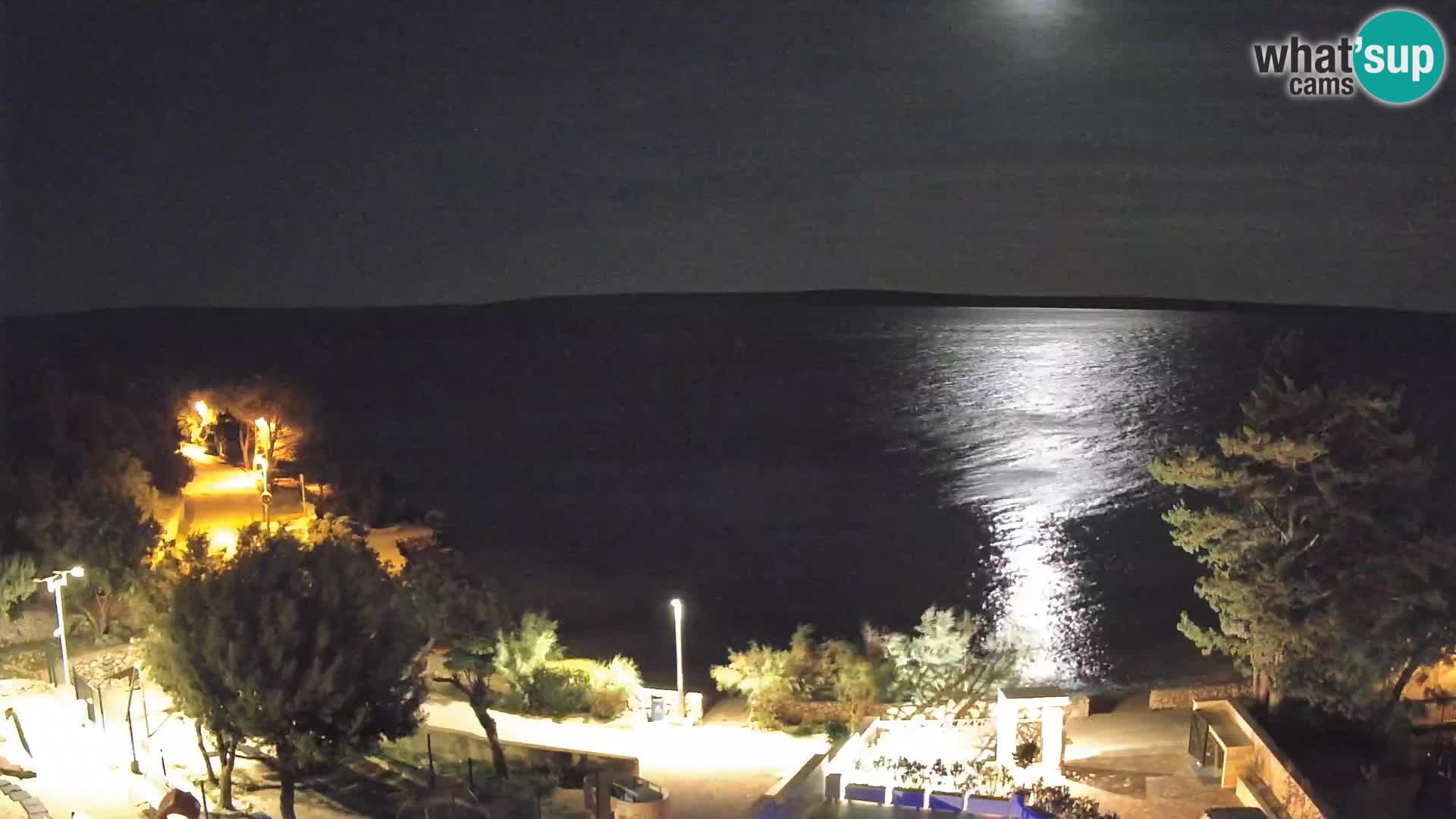 Webcam Playa Male Mandre en directo – Isla de Pag
