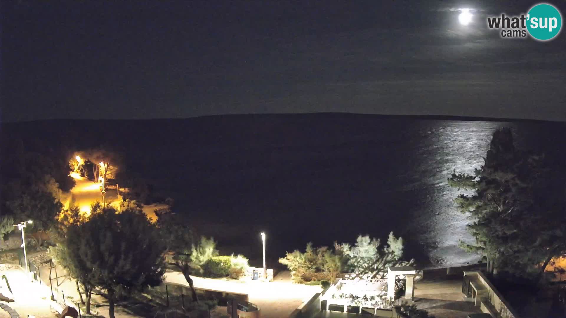 Webcam Plage Male Mandre – Vue en direct depuis l’île de Pag