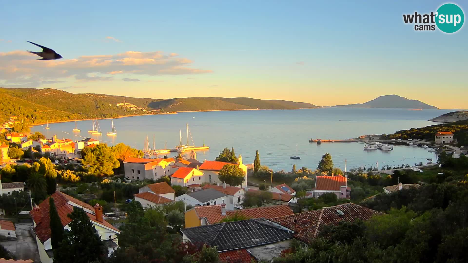 Live Cam Martinšćica – isola di Cres – Cherso webcam Croazia