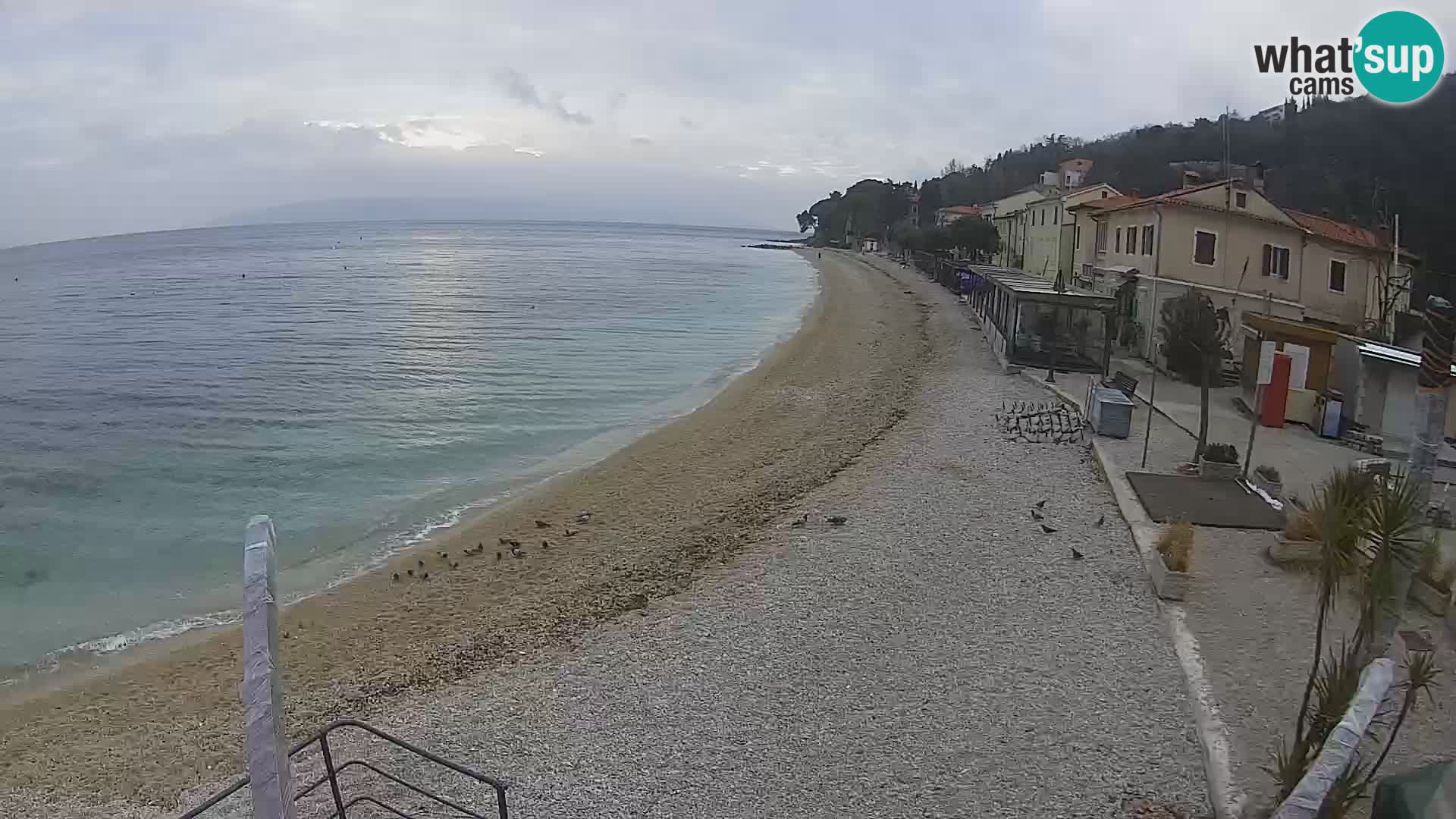 Camera en vivo Mošćenička Draga – Playa