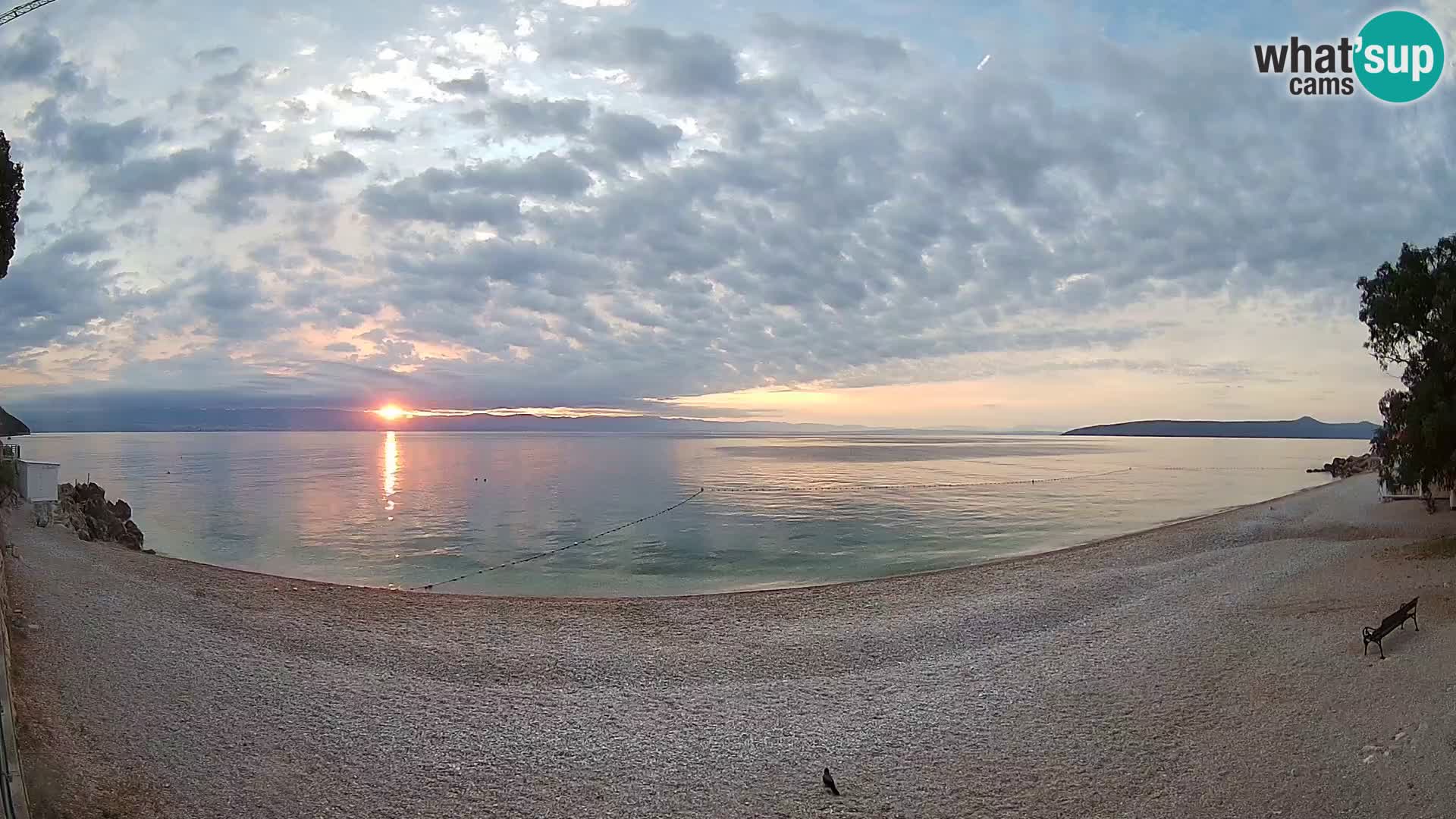 Webcam spiaggia Sv. Ivan | Draga di Moschiena
