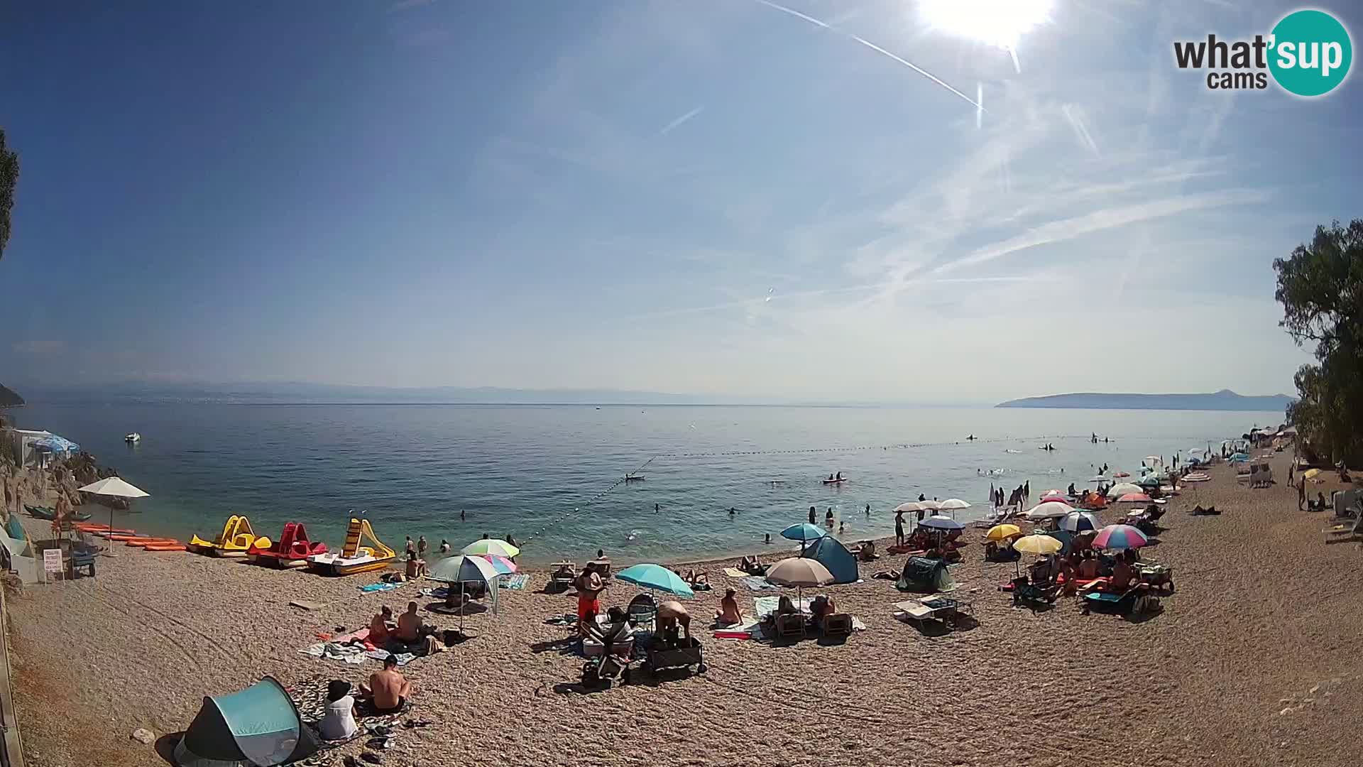 Webcam spiaggia Sv. Ivan | Draga di Moschiena