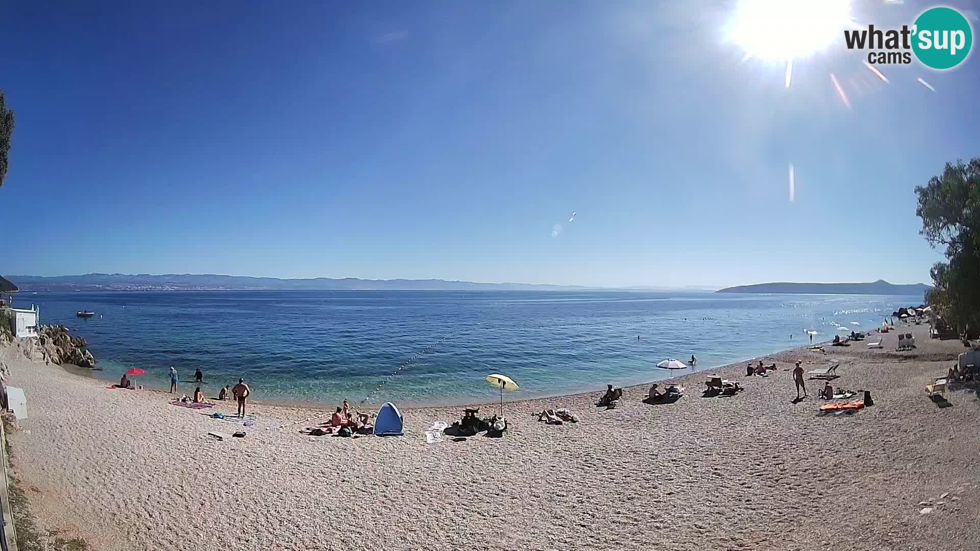 Webcam spiaggia Sv. Ivan | Draga di Moschiena
