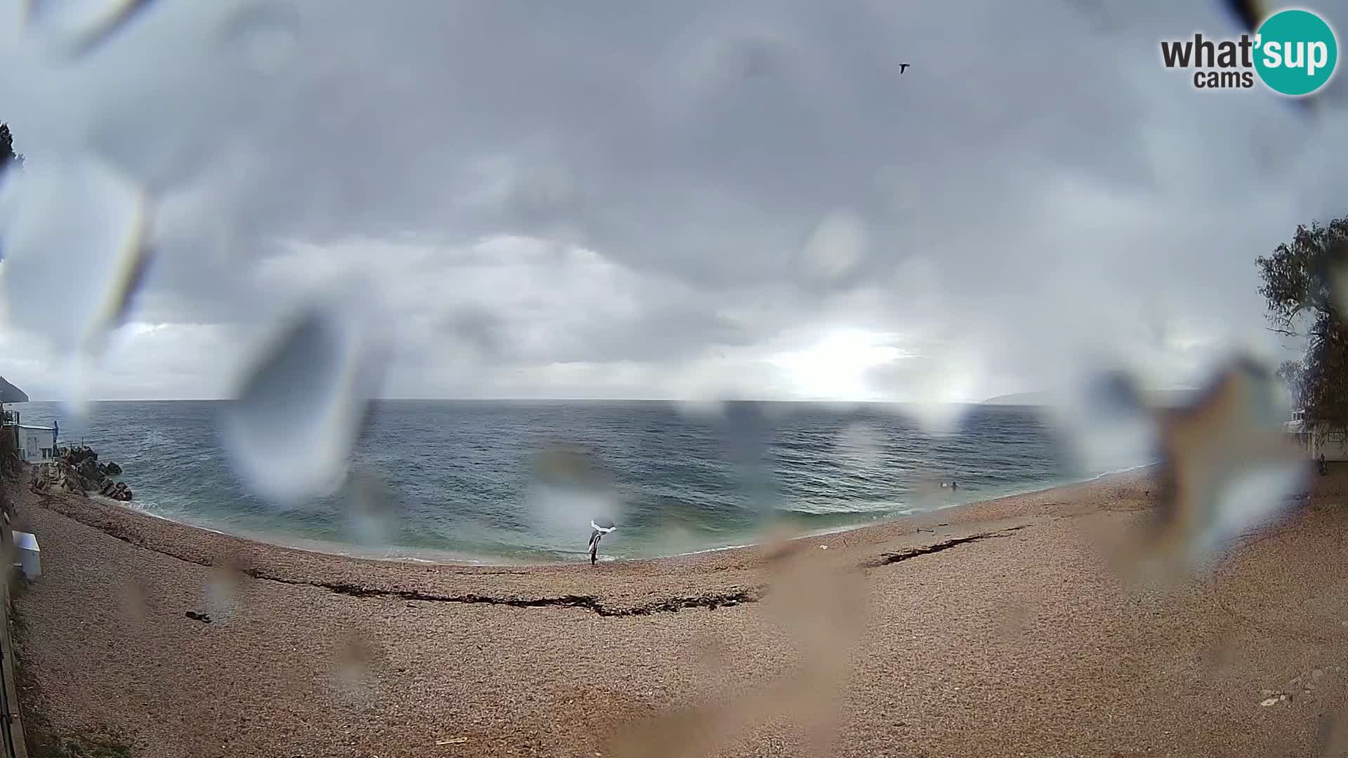 Webcam spiaggia Sv. Ivan | Draga di Moschiena