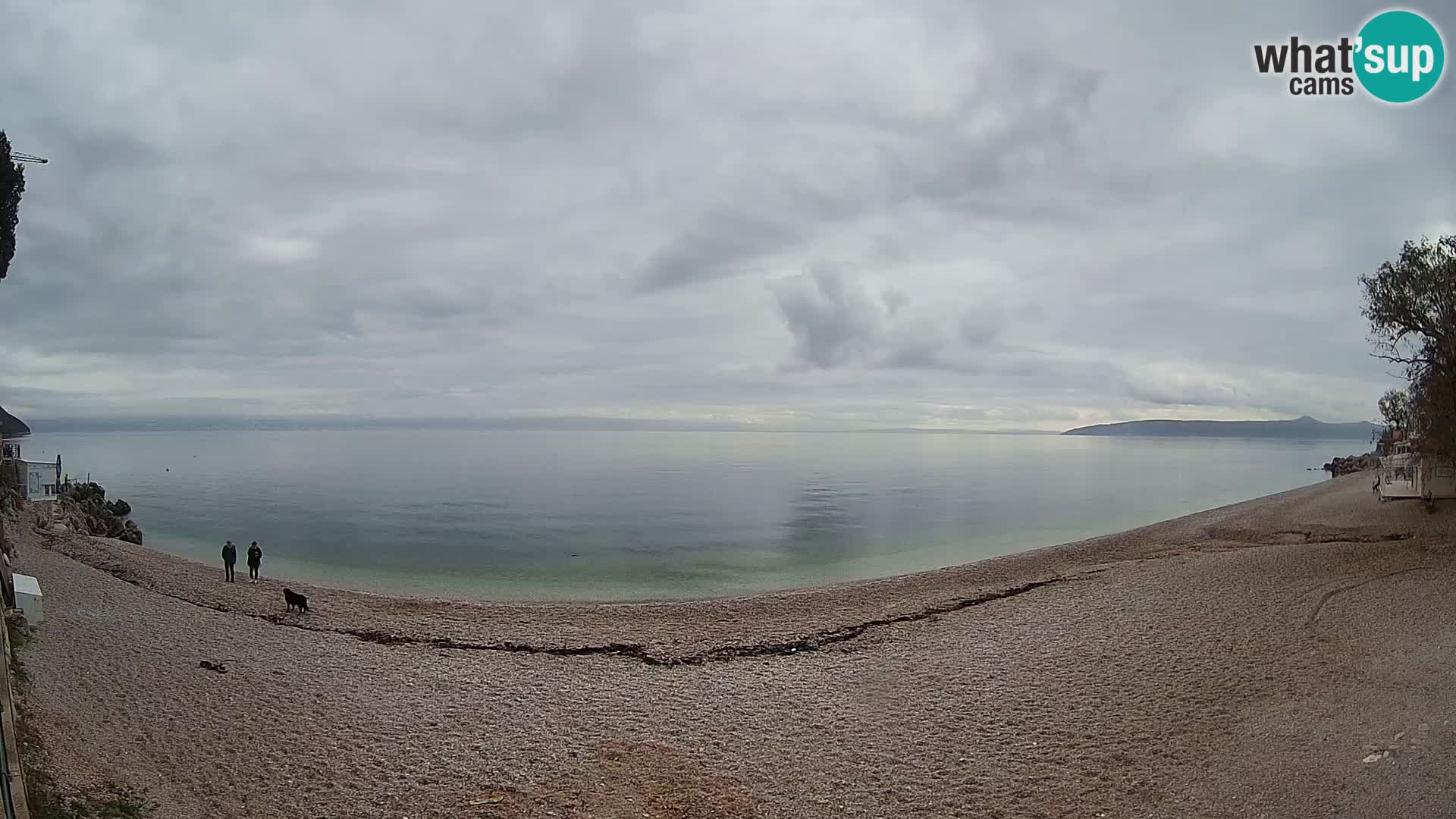 Webcam spiaggia Sv. Ivan | Draga di Moschiena