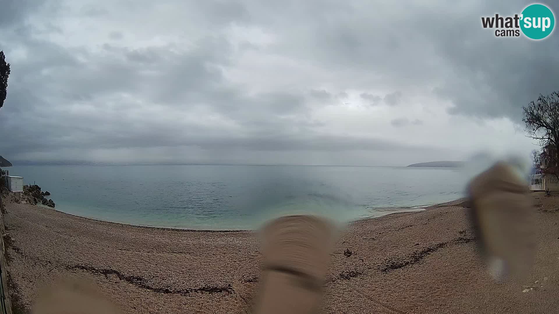 Webcam spiaggia Sv. Ivan | Draga di Moschiena
