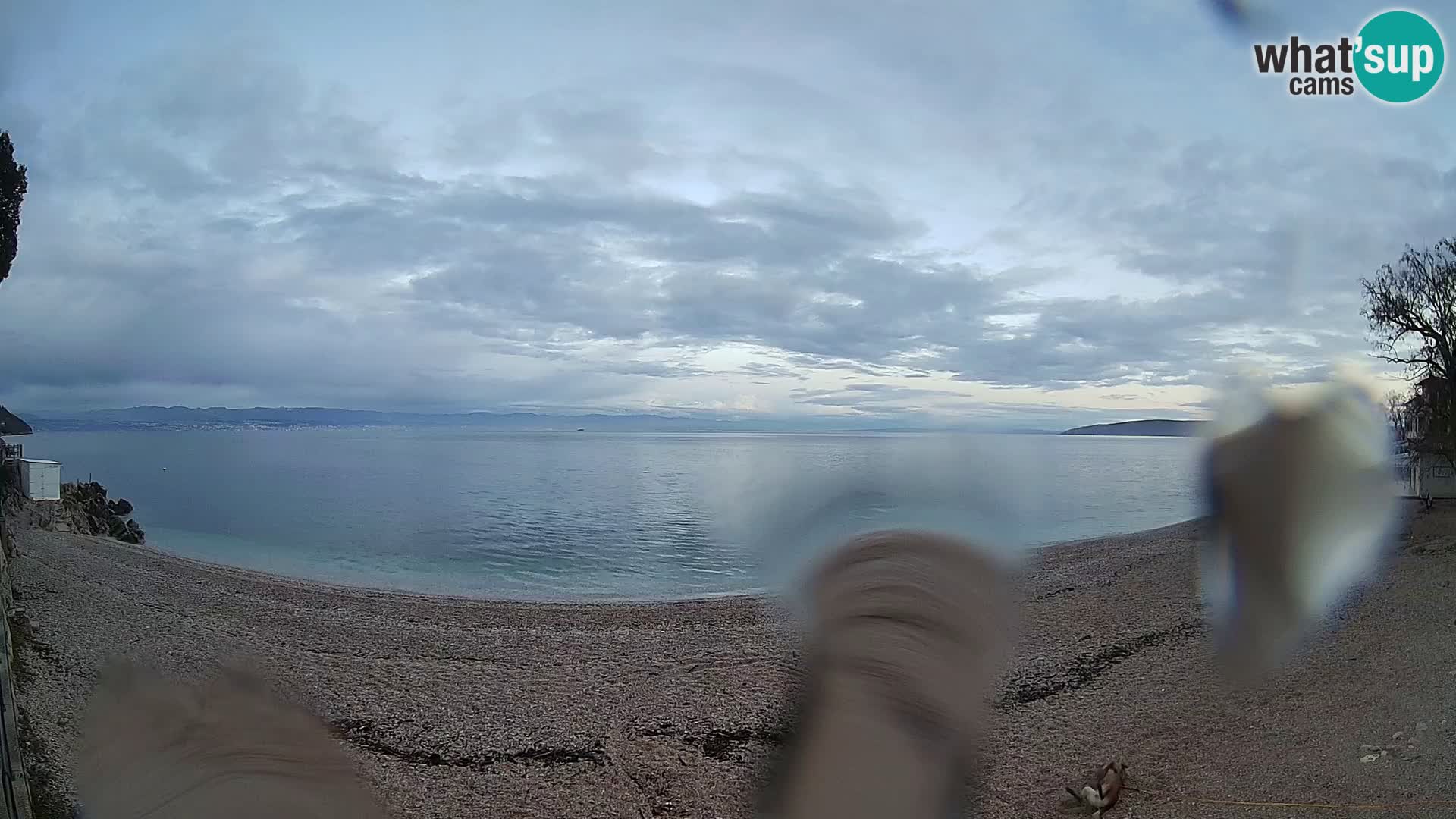 Webcam spiaggia Sv. Ivan | Draga di Moschiena