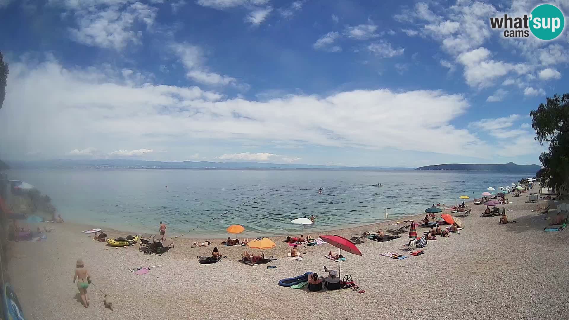 Webcam spiaggia Sv. Ivan | Draga di Moschiena