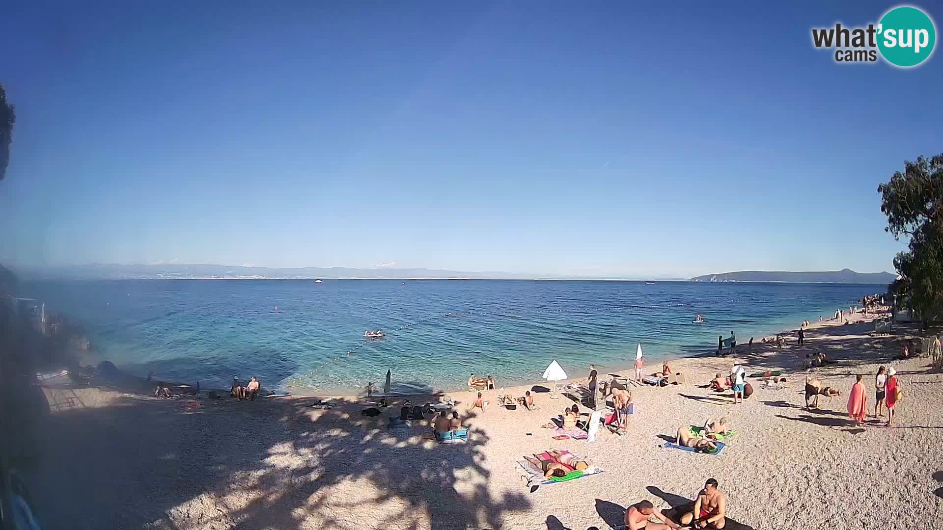 Webcam spiaggia Sv. Ivan | Draga di Moschiena