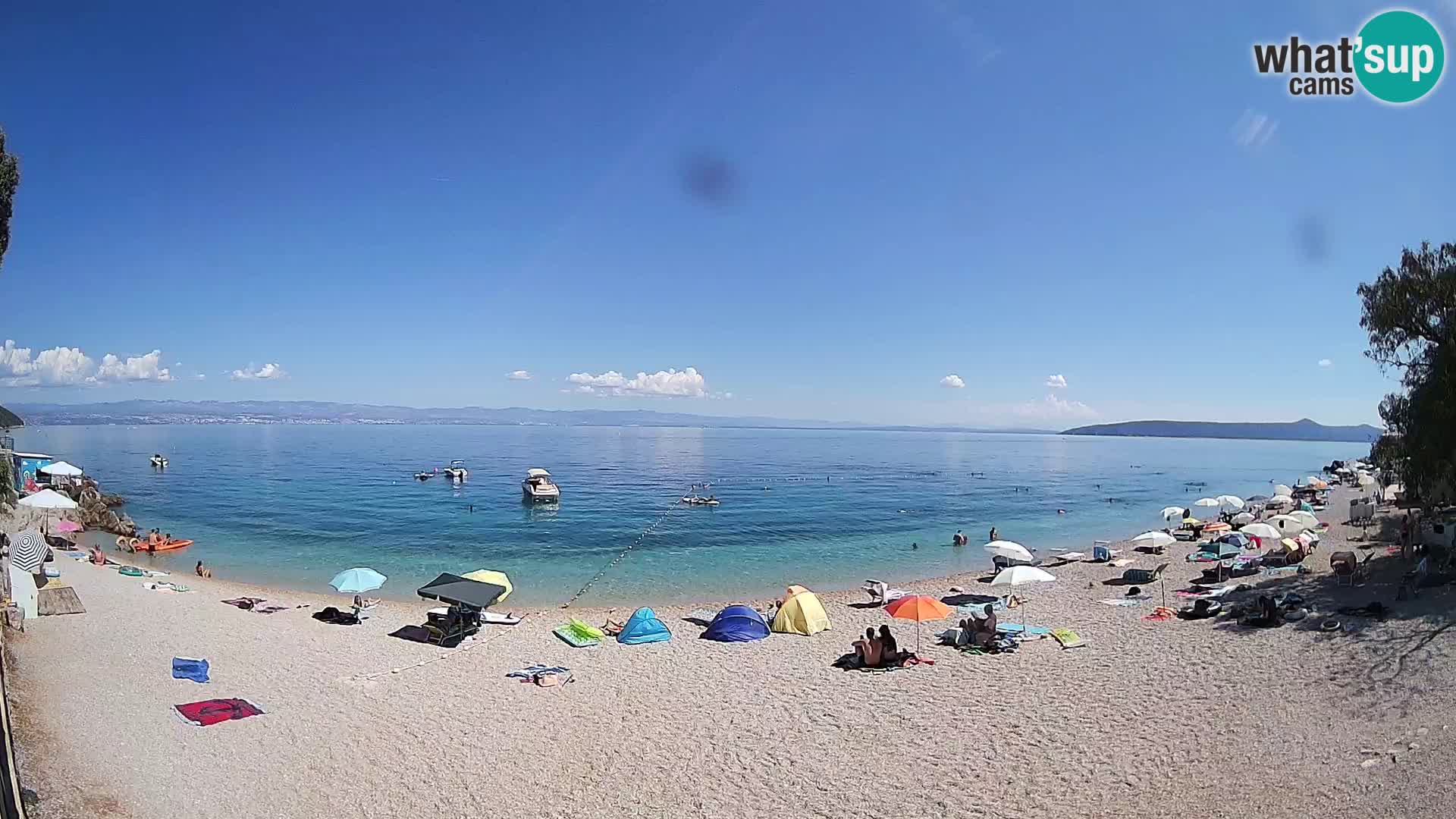 Webcam spiaggia Sv. Ivan | Draga di Moschiena