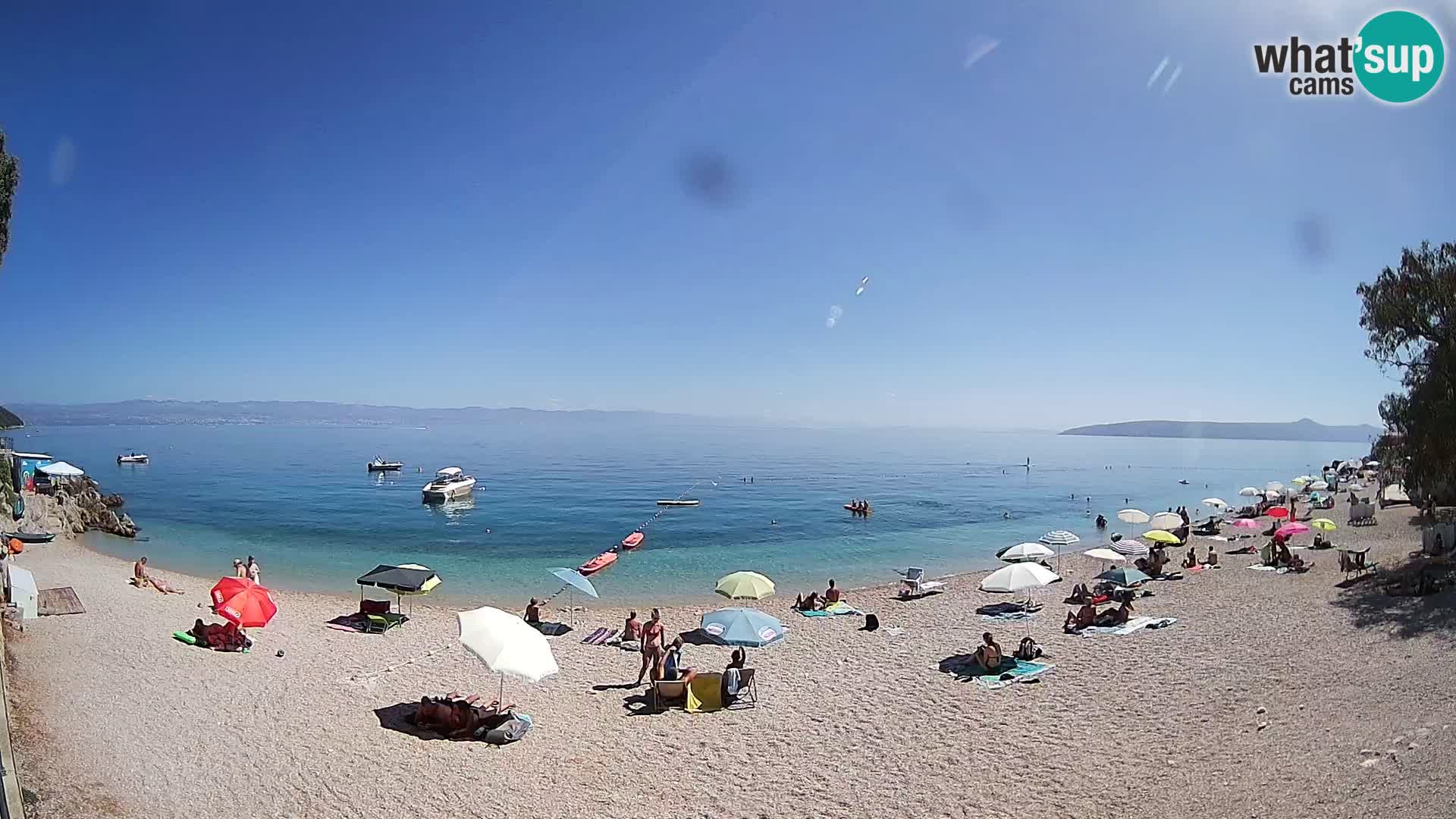 Webcam spiaggia Sv. Ivan | Draga di Moschiena