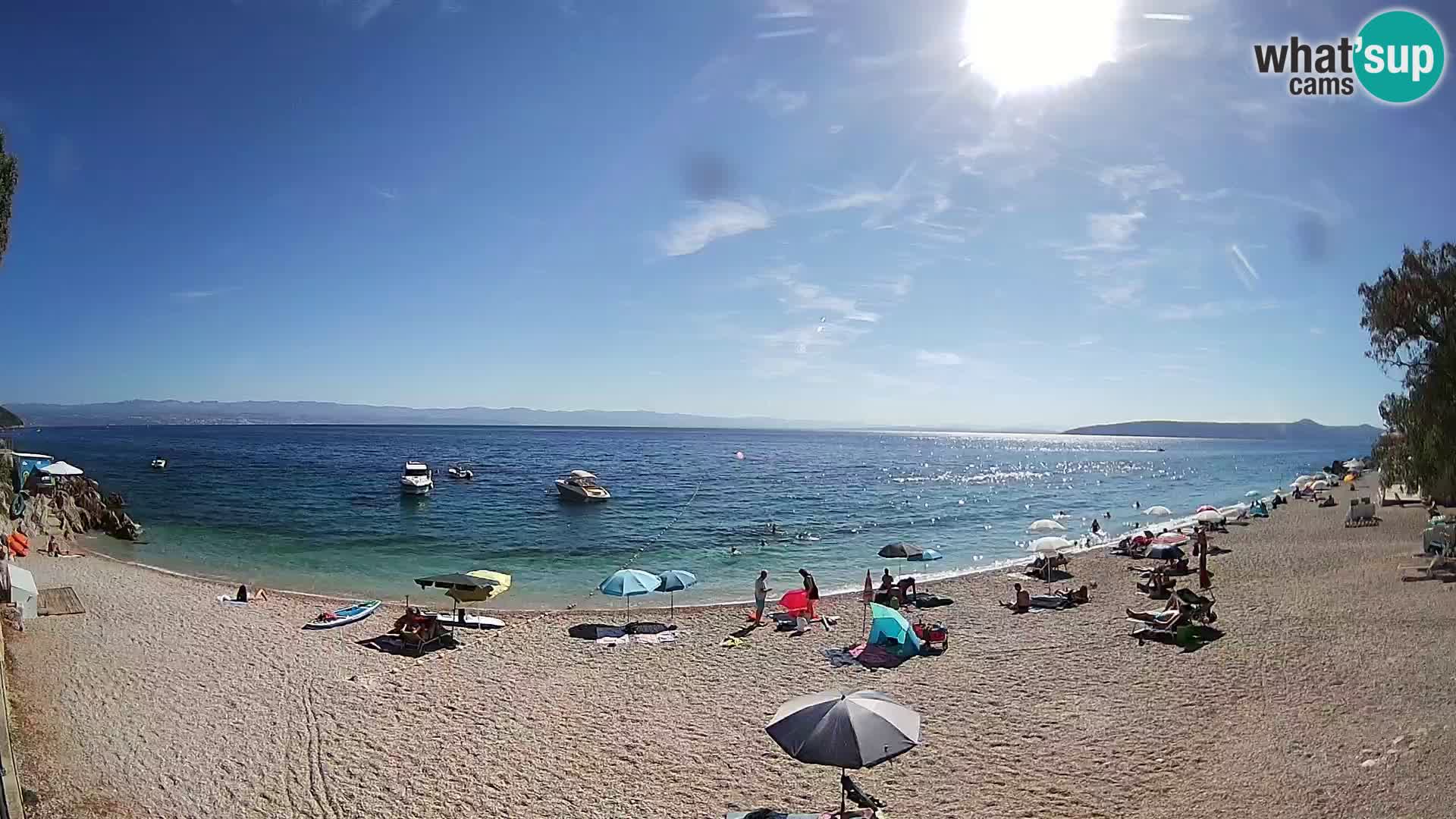 Webcam spiaggia Sv. Ivan | Draga di Moschiena