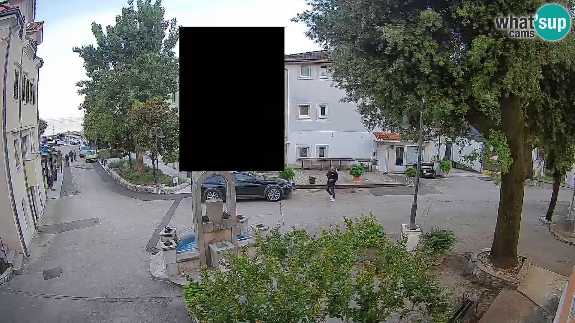Webcam Centro Draga di Moschiena – Vista live sul centro