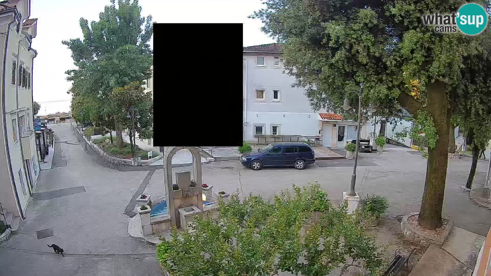 Webcam Centro Draga di Moschiena – Vista live sul centro