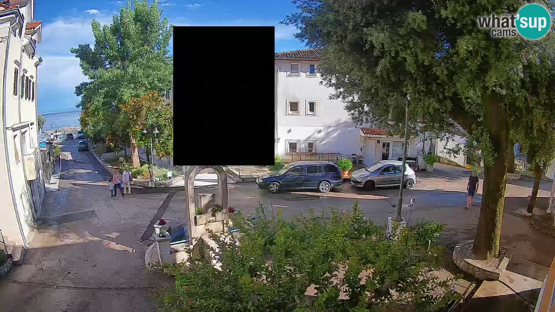 Webcam Centro Draga di Moschiena – Vista live sul centro