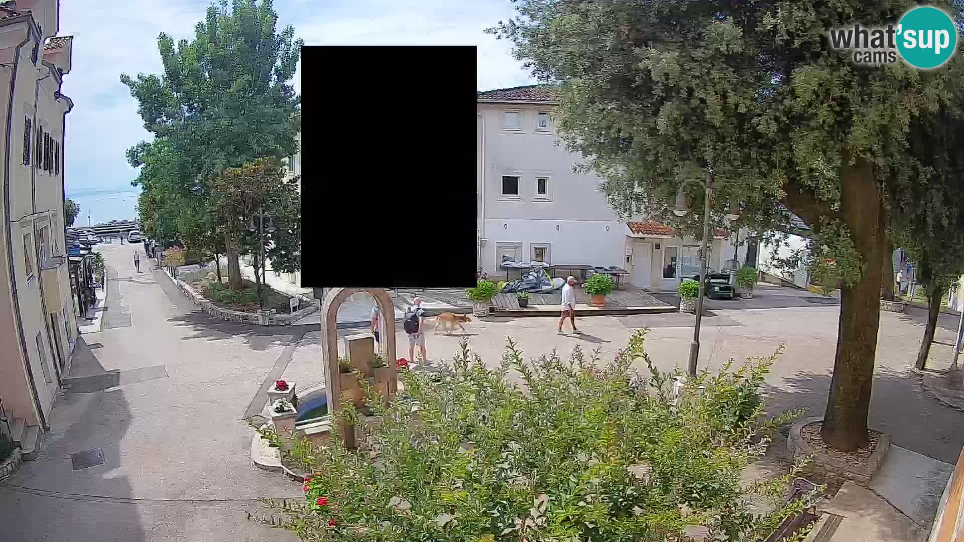 Webcam Centro Draga di Moschiena – Vista live sul centro