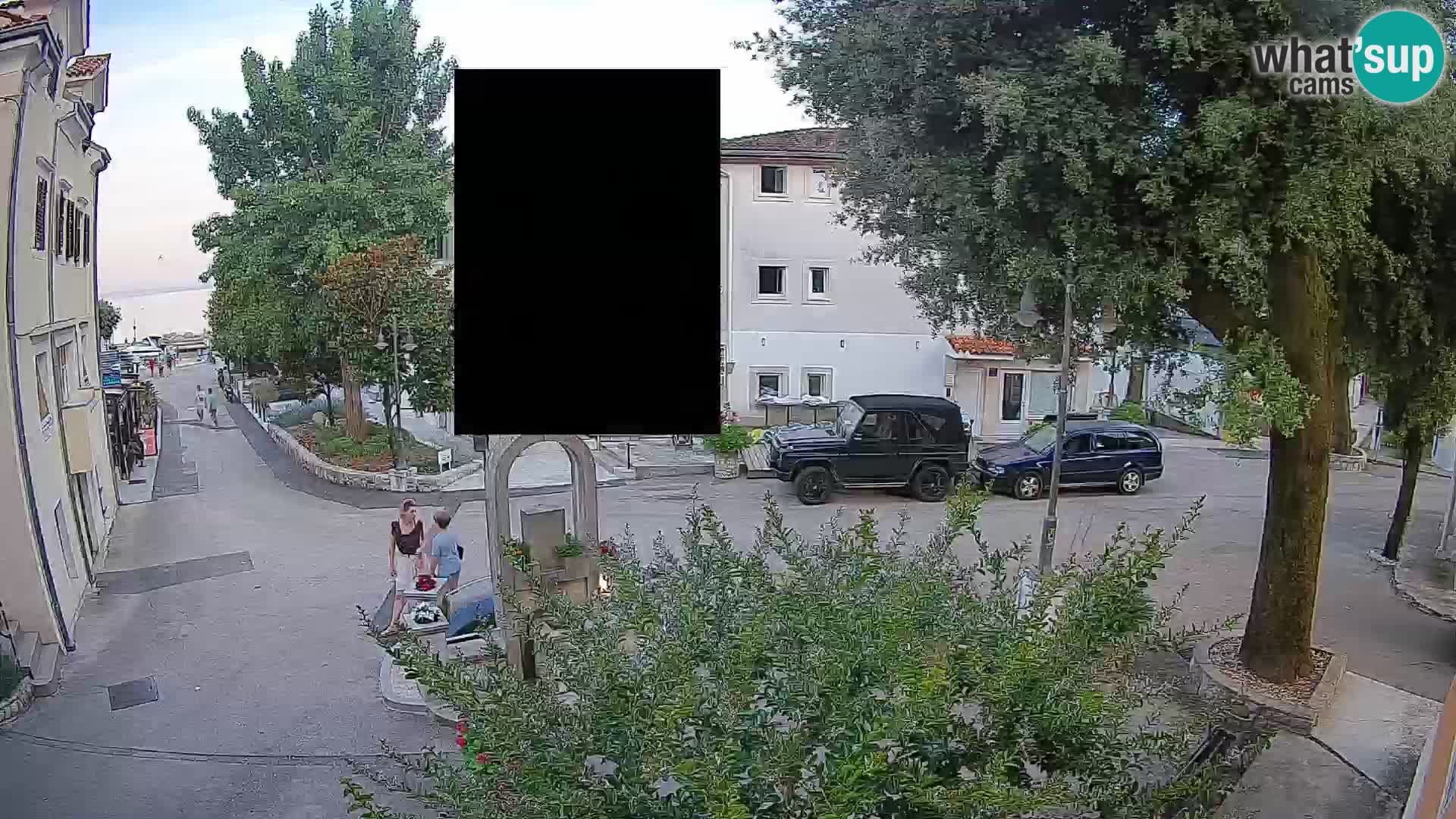 Webcam Centro Draga di Moschiena – Vista live sul centro