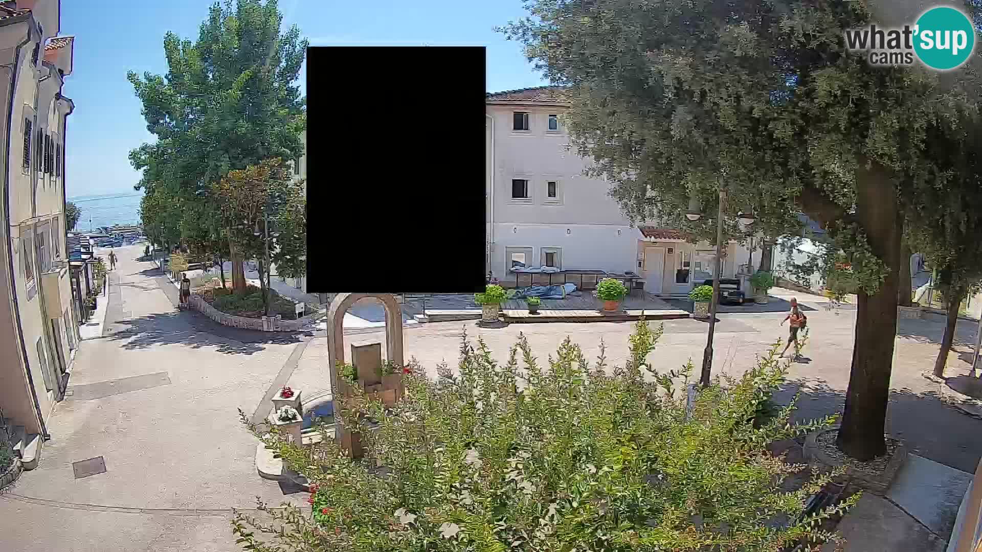 Webcam Centro Draga di Moschiena – Vista live sul centro
