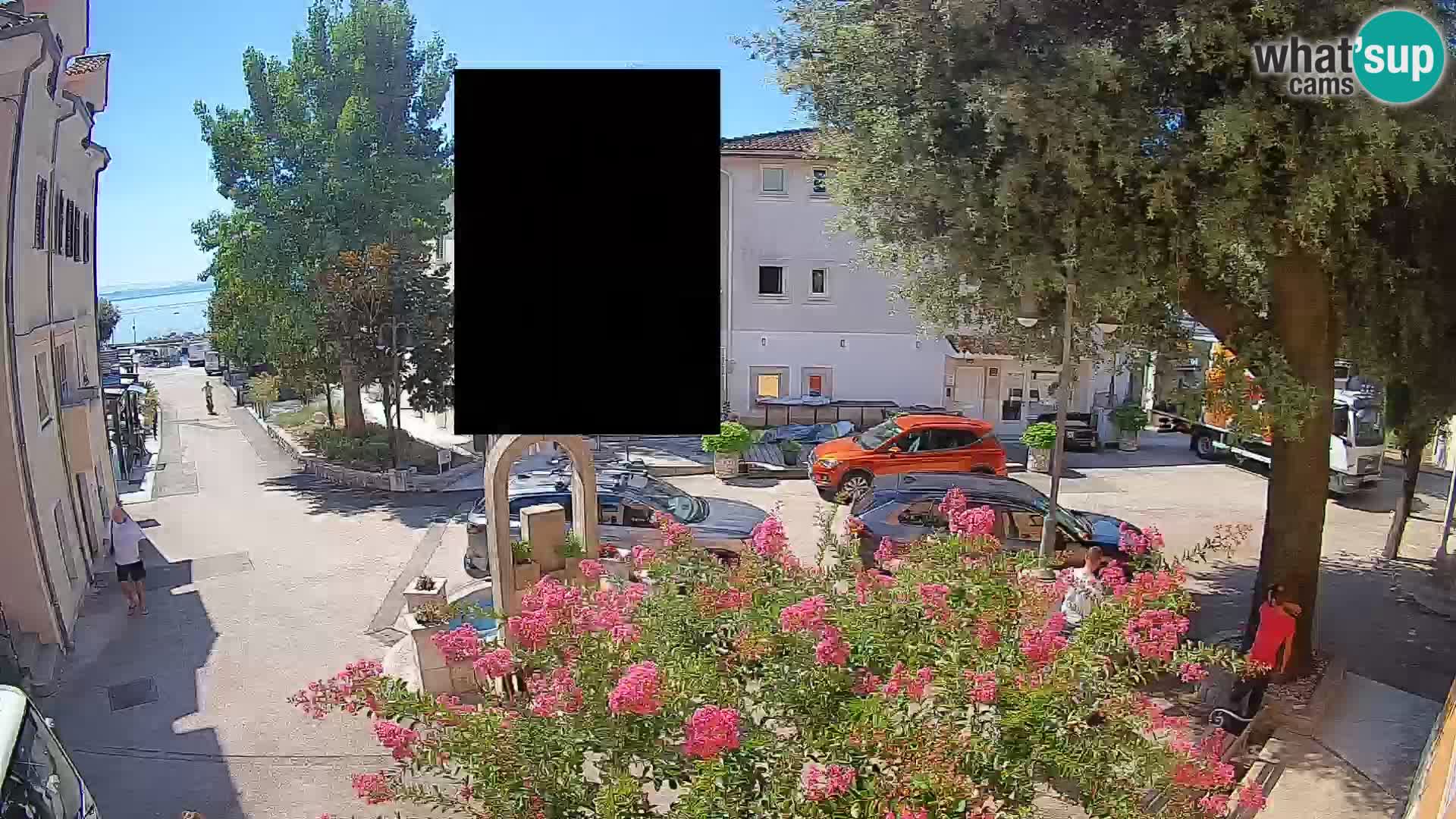 Webcam Centro Draga di Moschiena – Vista live sul centro