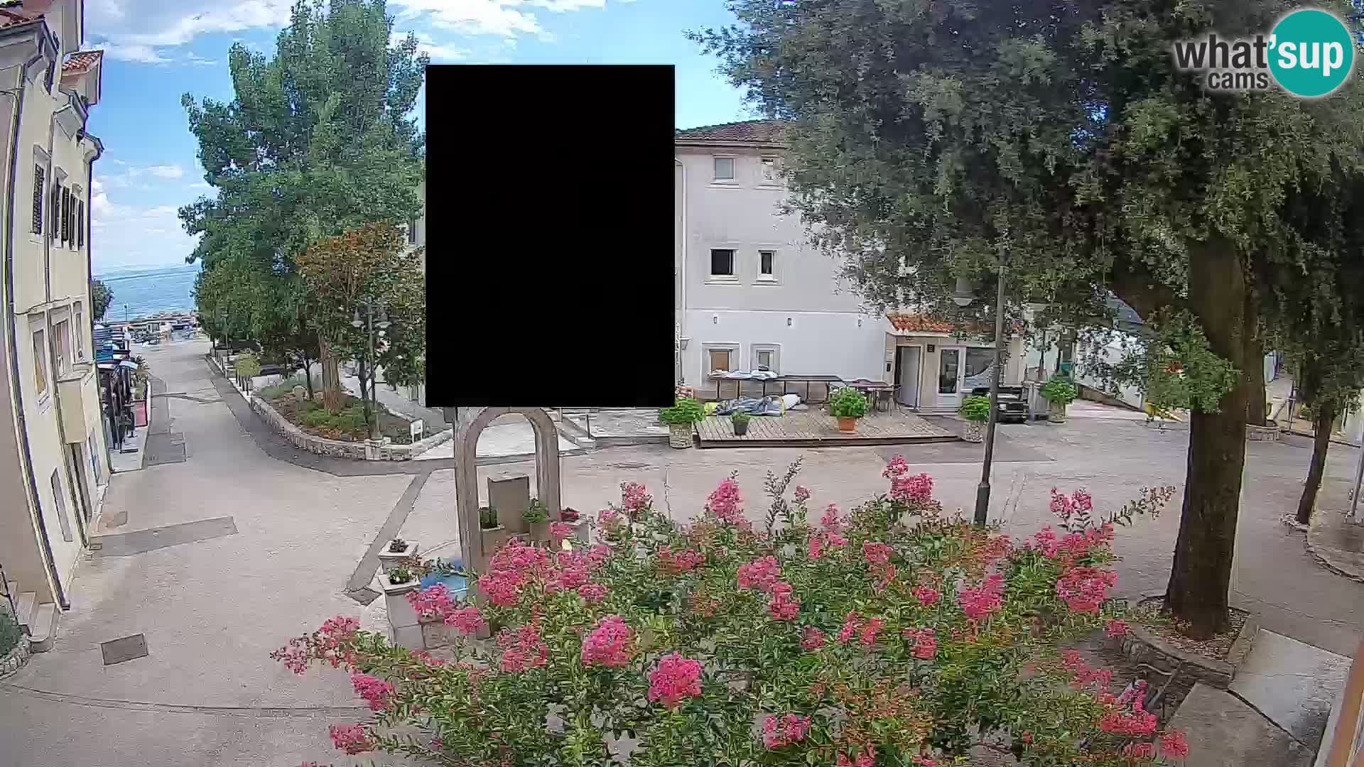 Webcam Centro Draga di Moschiena – Vista live sul centro