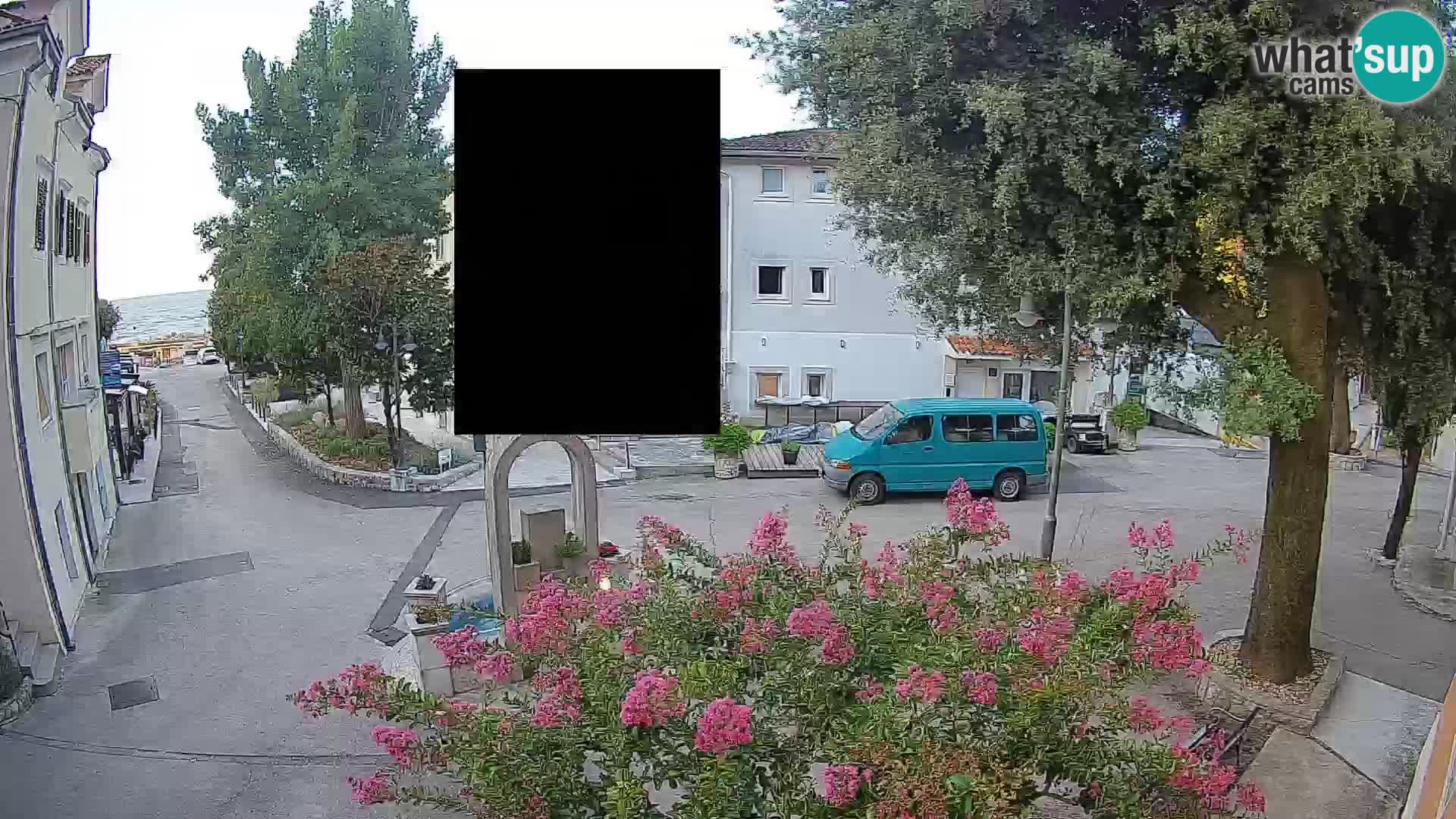 Webcam Centro Draga di Moschiena – Vista live sul centro