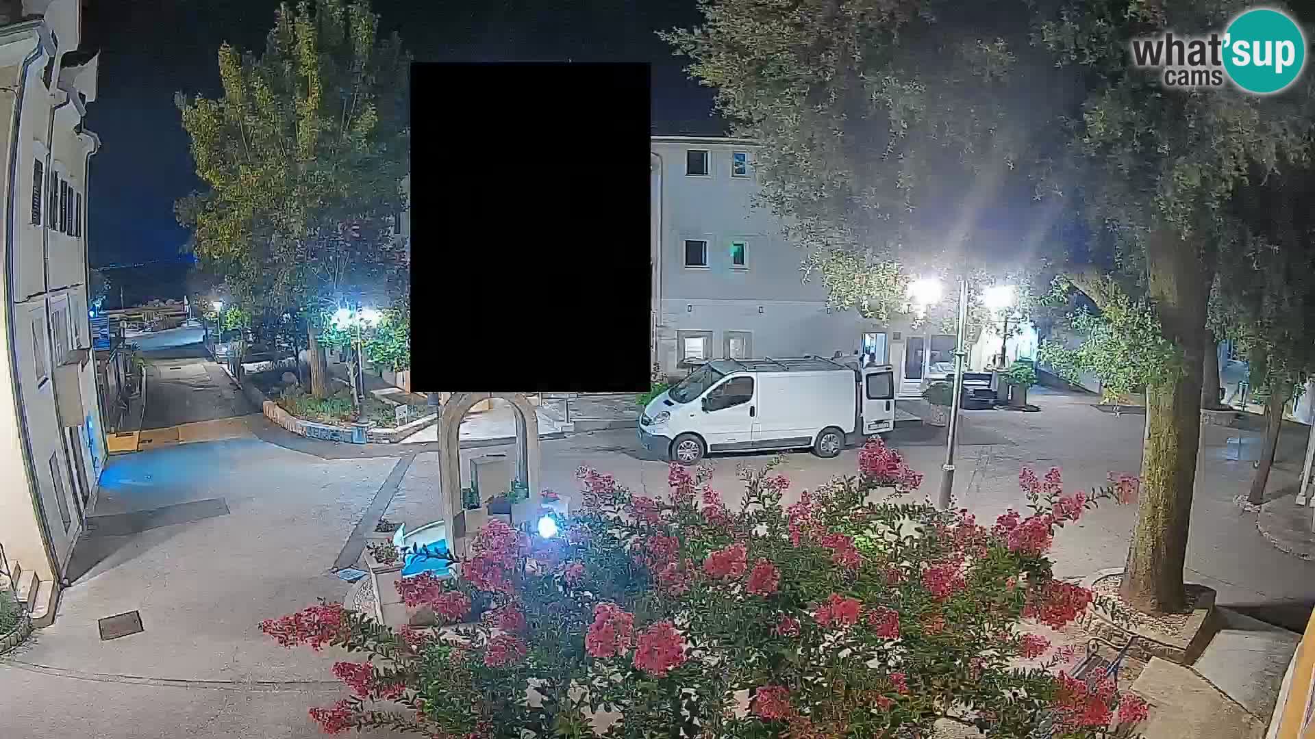Webcam Centro Draga di Moschiena – Vista live sul centro