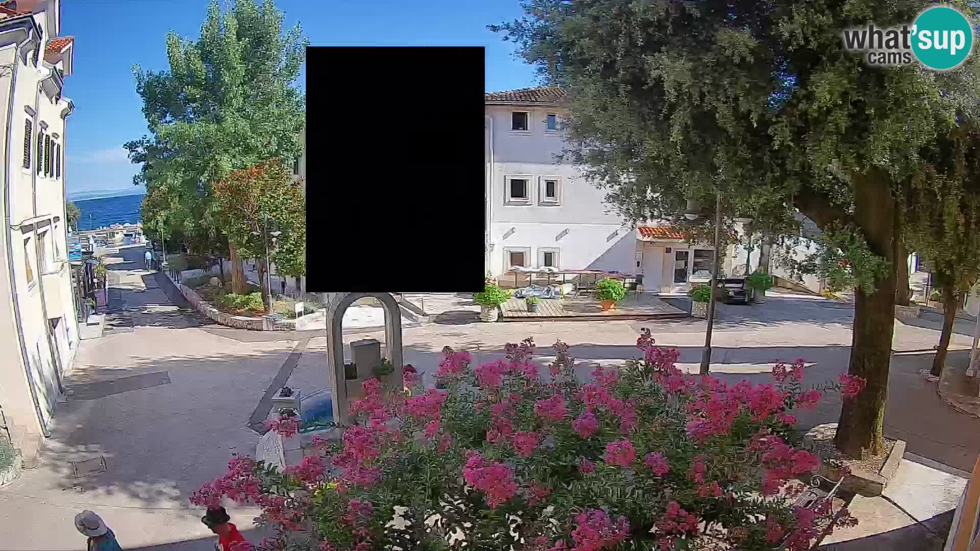 Webcam Centro Draga di Moschiena – Vista live sul centro