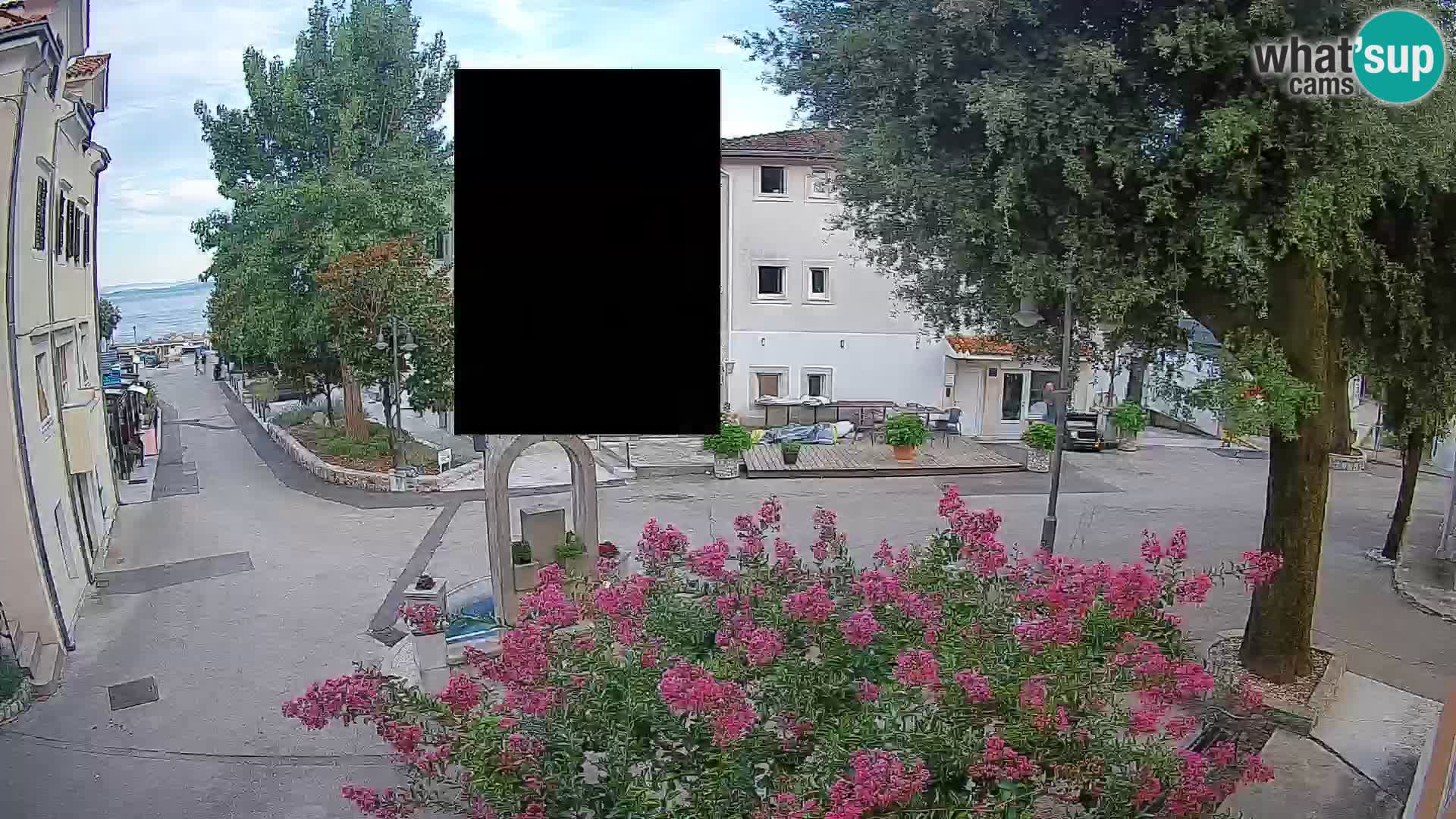 Webcam Centro Draga di Moschiena – Vista live sul centro