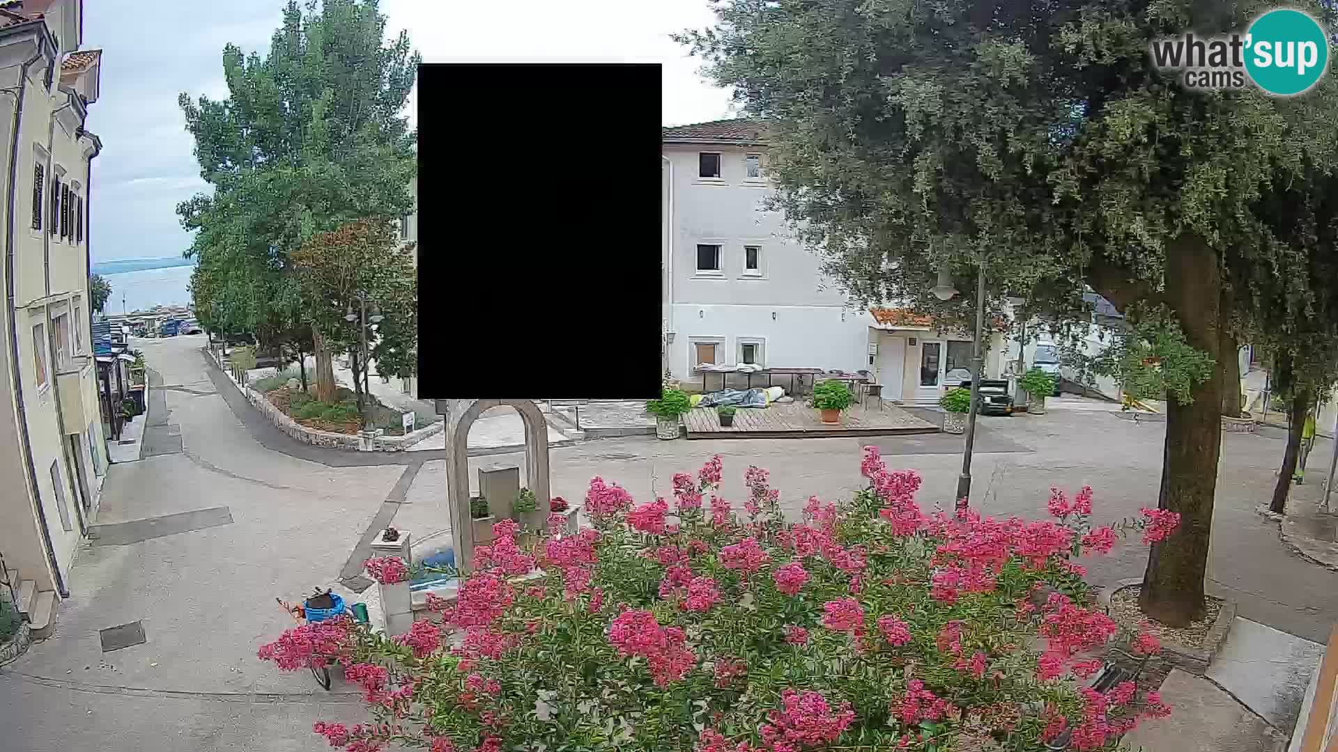 Webcam Centro Draga di Moschiena – Vista live sul centro