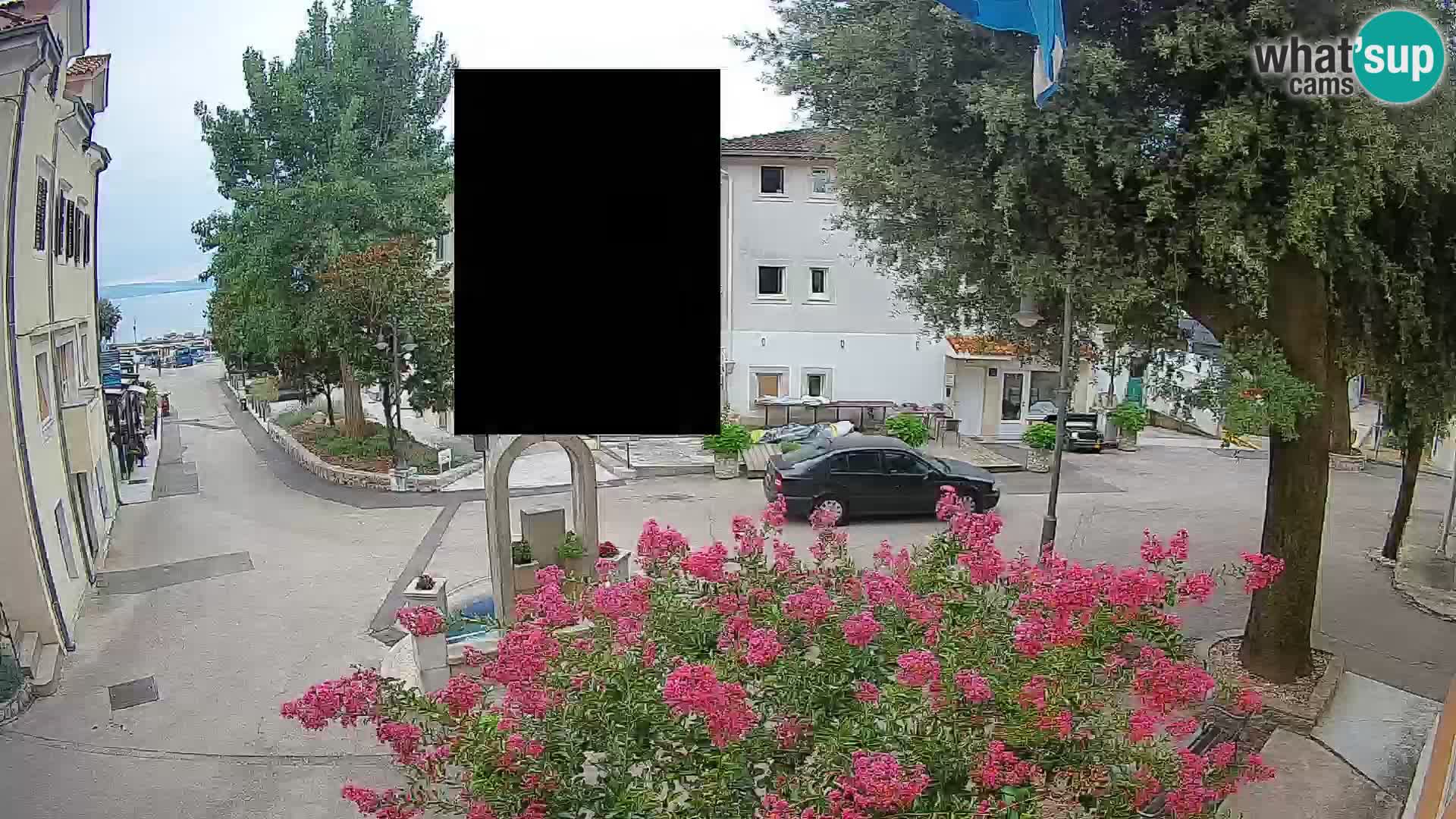Webcam Centro Draga di Moschiena – Vista live sul centro