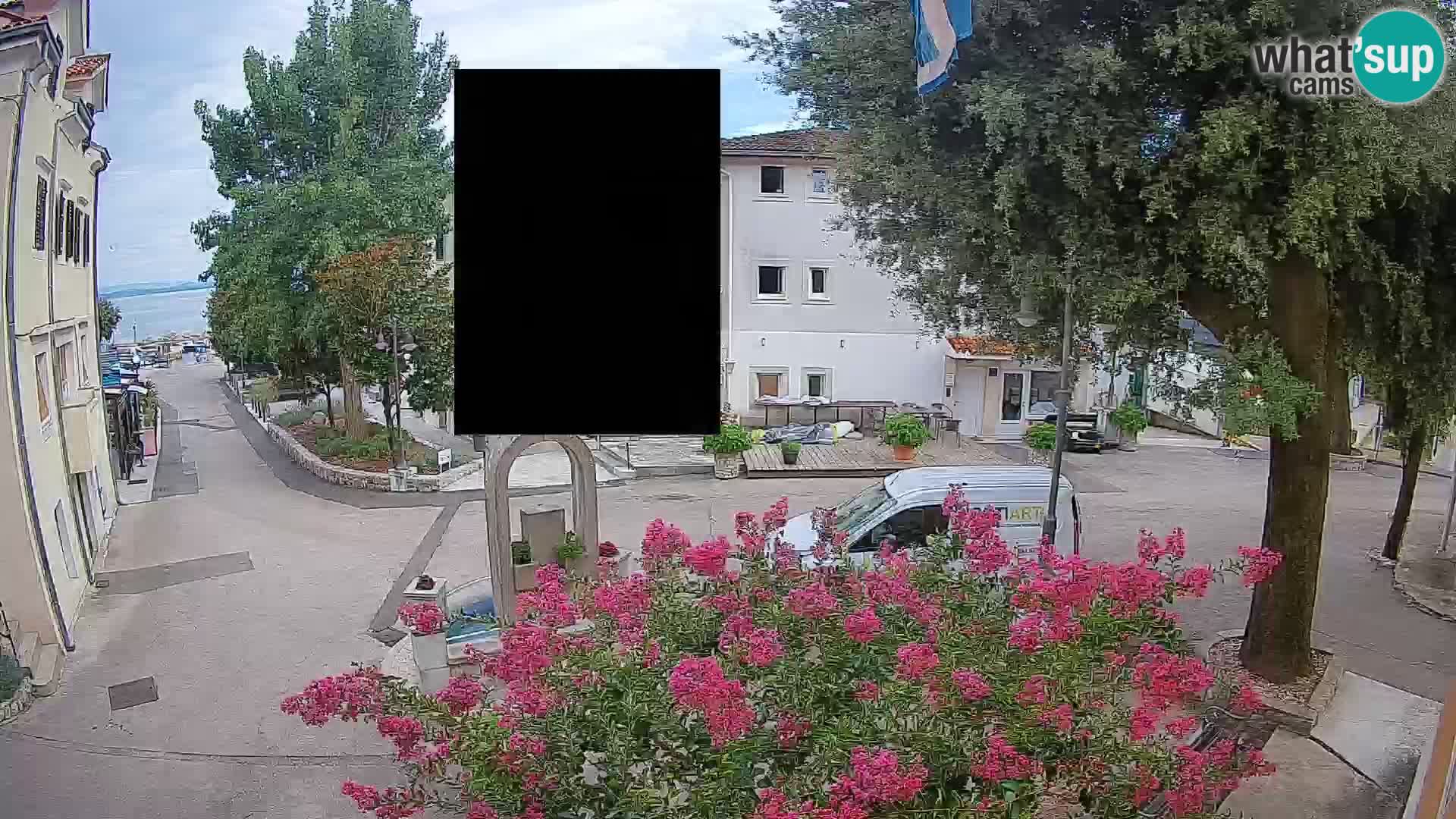 Webcam Centro Draga di Moschiena – Vista live sul centro